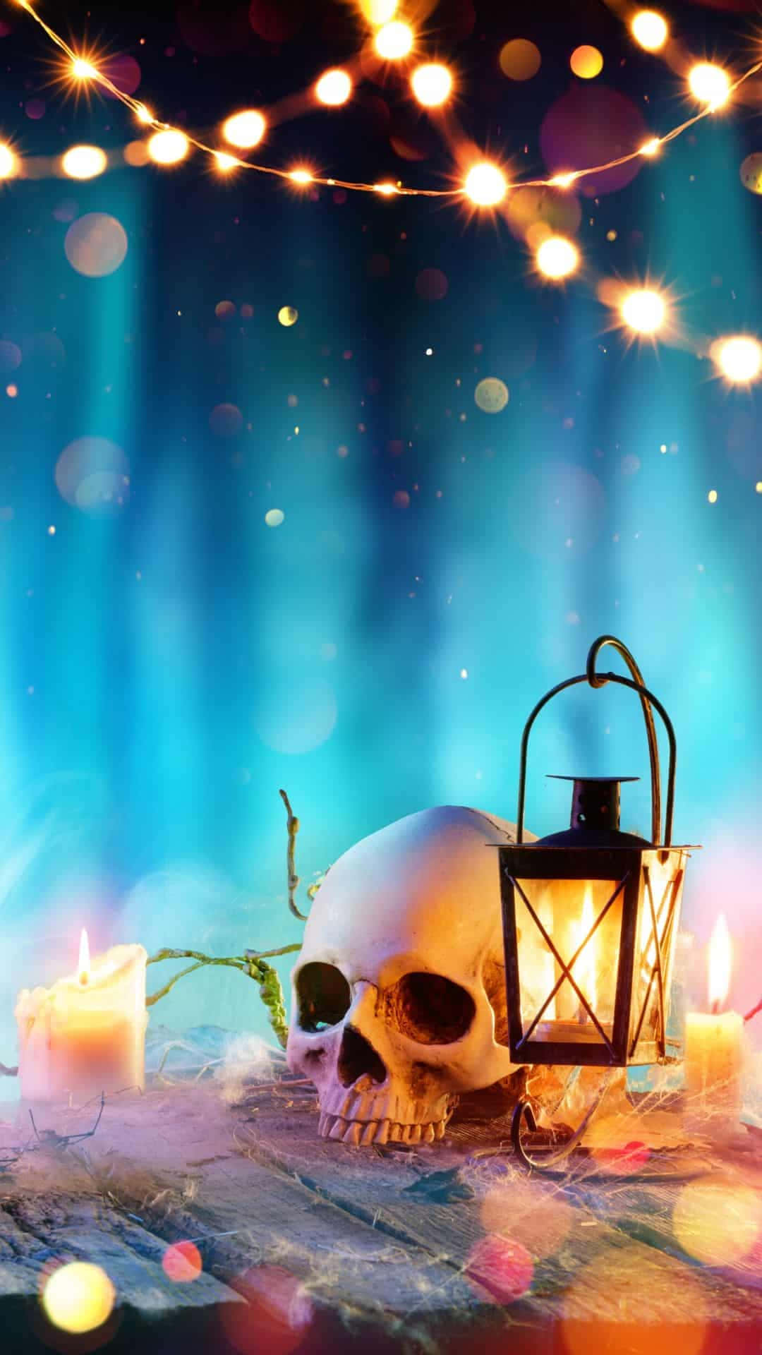 Beautiful Halloween, skull, lantern, Full HD Phone Wallpaper