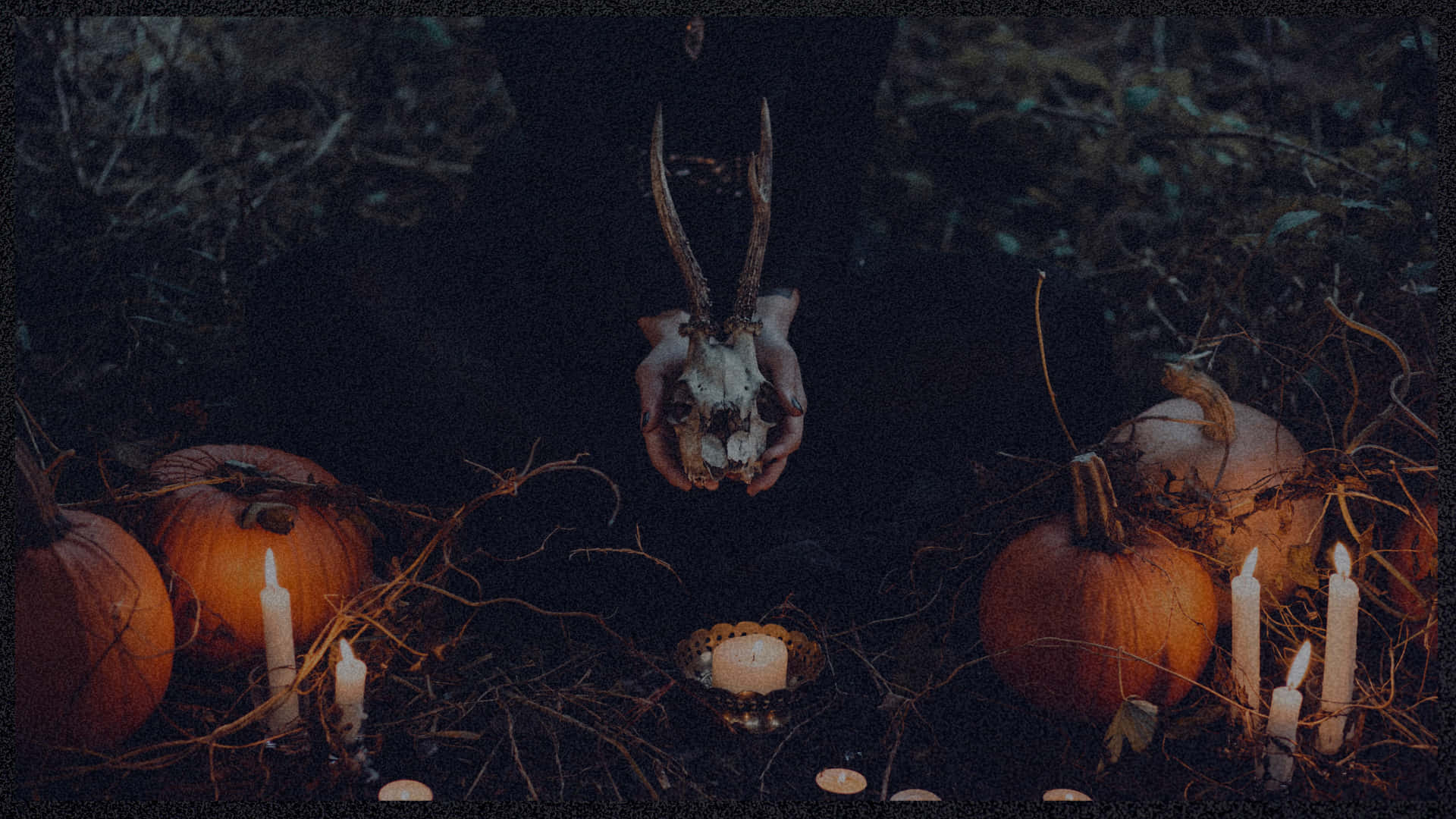deer skull, antlers, candlelit altar, Full HD Desktop Wallpaper