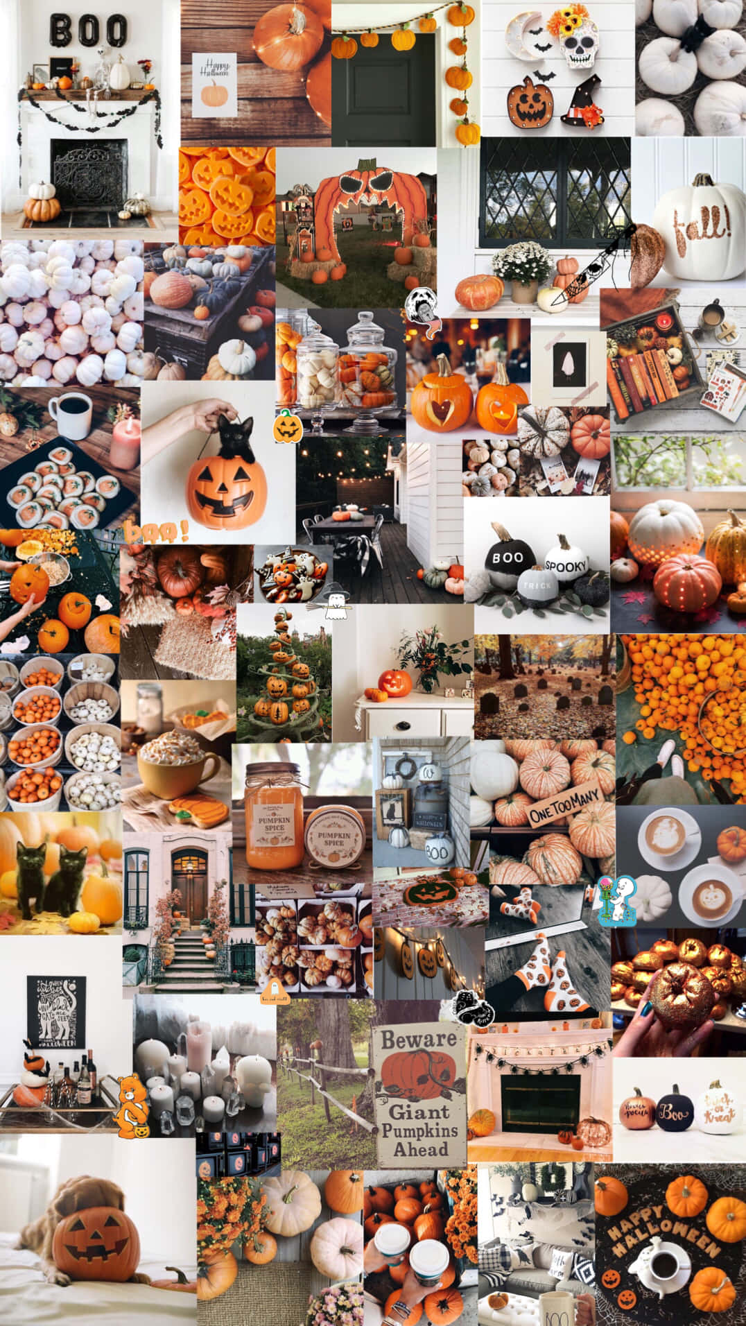 Halloween, pumpkins, jack-o-lanterns, HD Phone Wallpaper