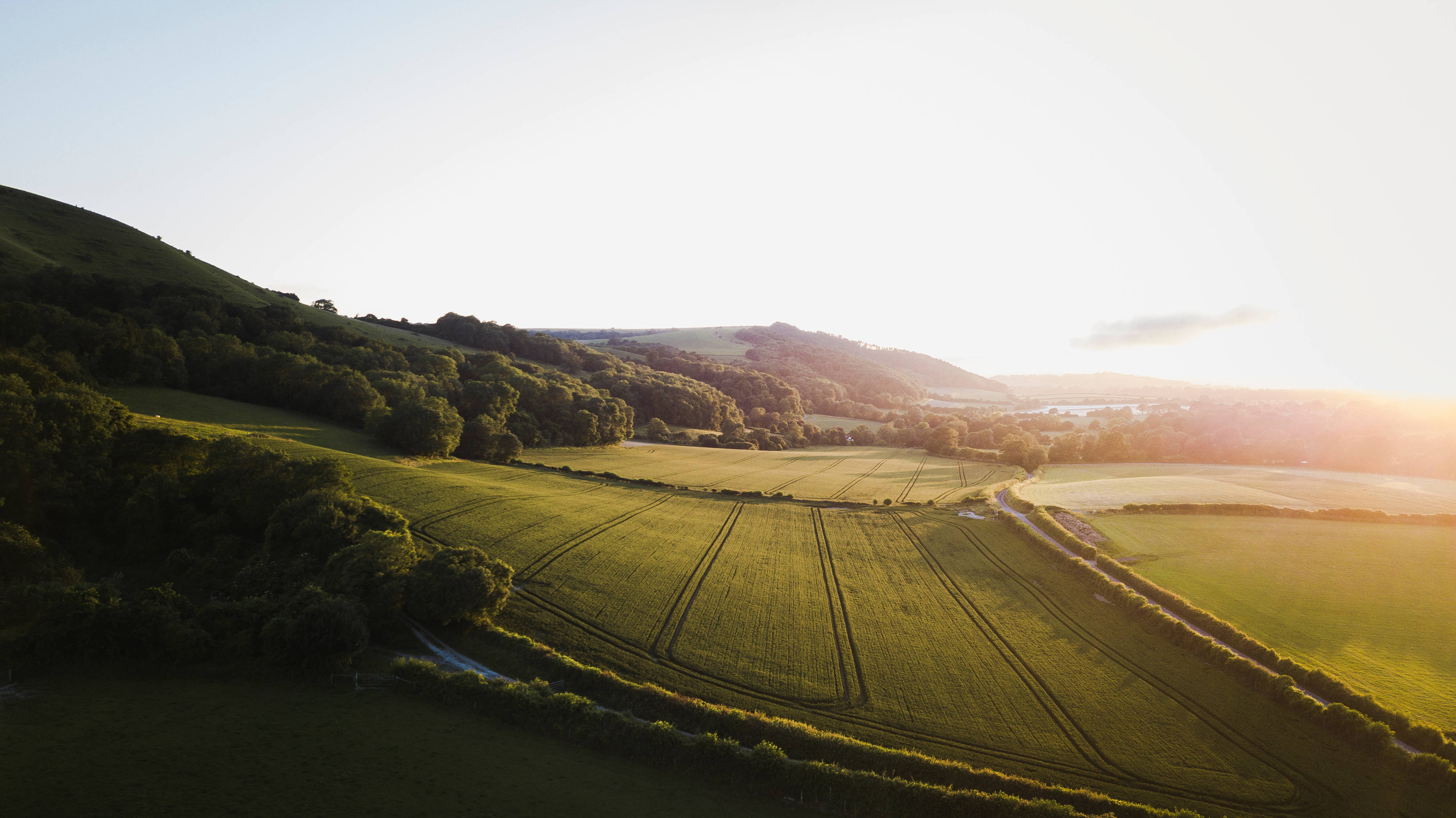 country fields, golden sunlit rolling hills, green fields, 4K Desktop Wallpaper