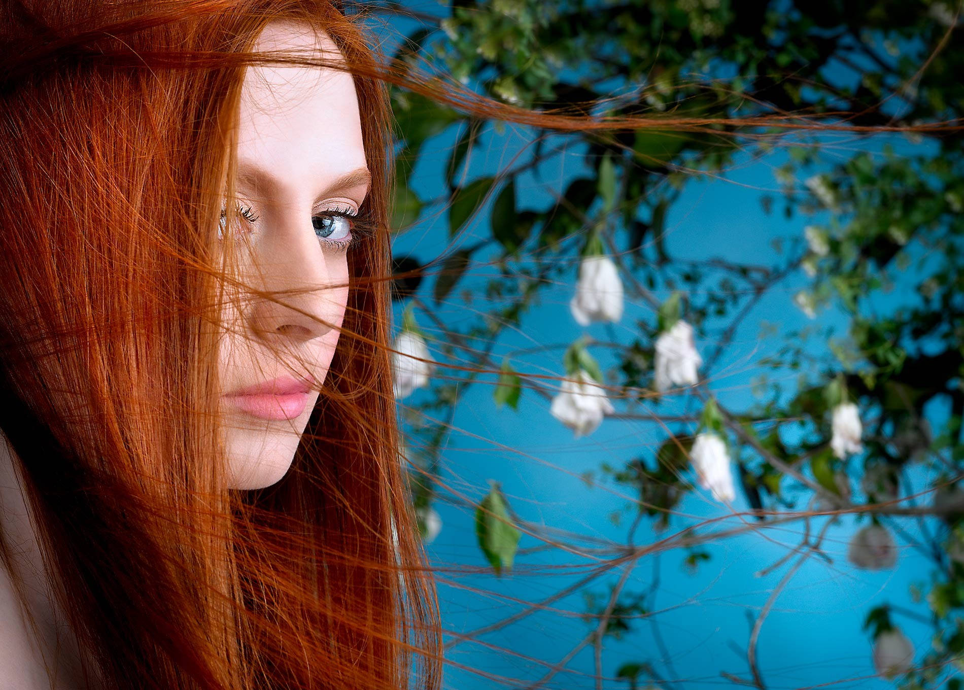 fiery red hair, blue eyes, wind-swept strands, HD Desktop Wallpaper