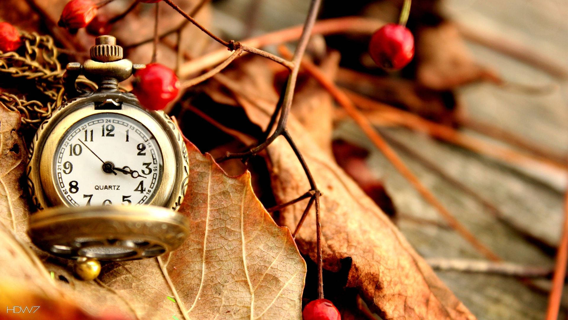 antique brass pocket watch, autumn leaves, red berries, Full HD Desktop Wallpaper