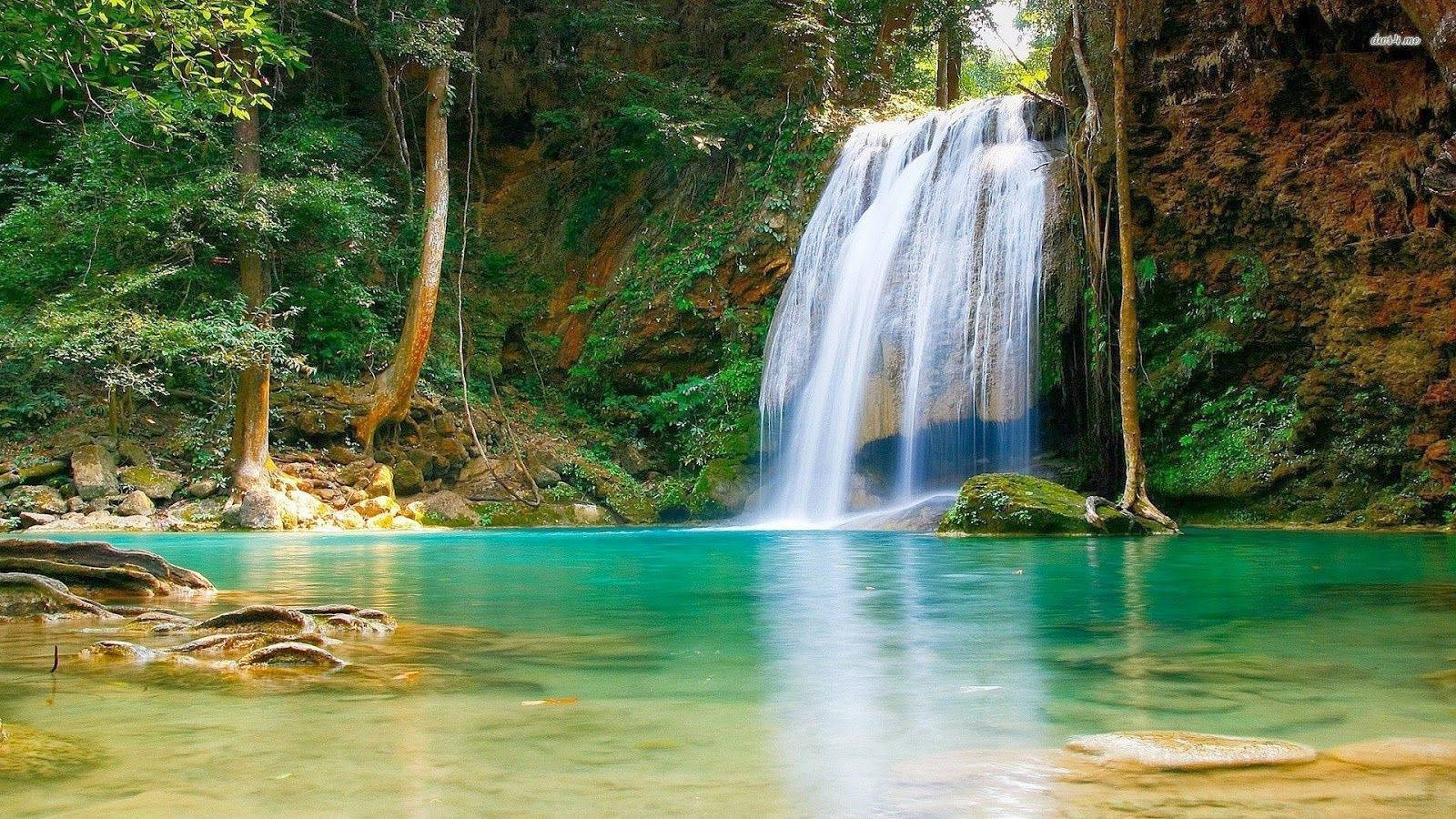 waterfall, turquoise pool, lush green forest, HD Desktop Wallpaper