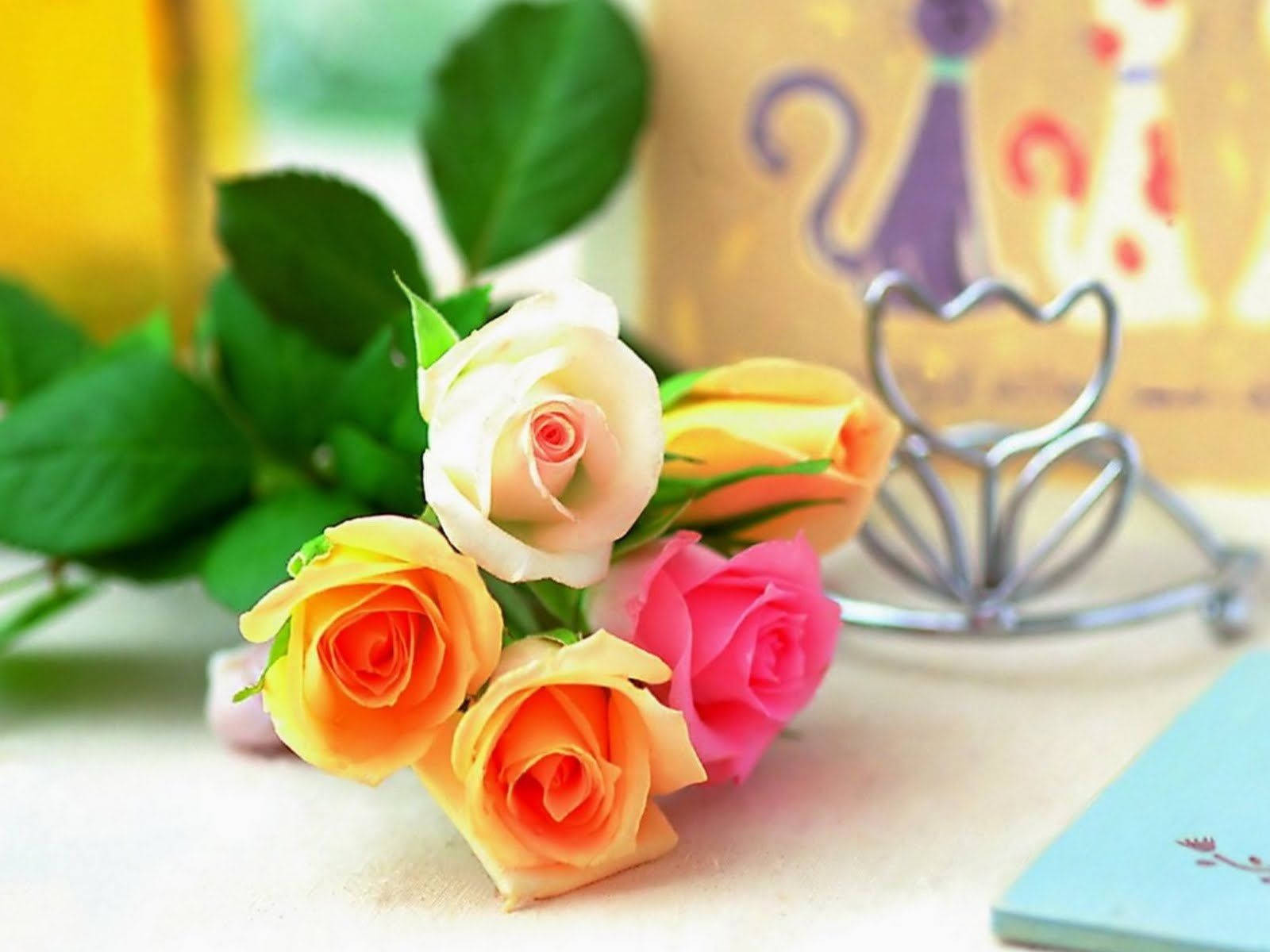 colorful roses, yellow orange and pink roses, lush green leaves, HD Desktop Wallpaper