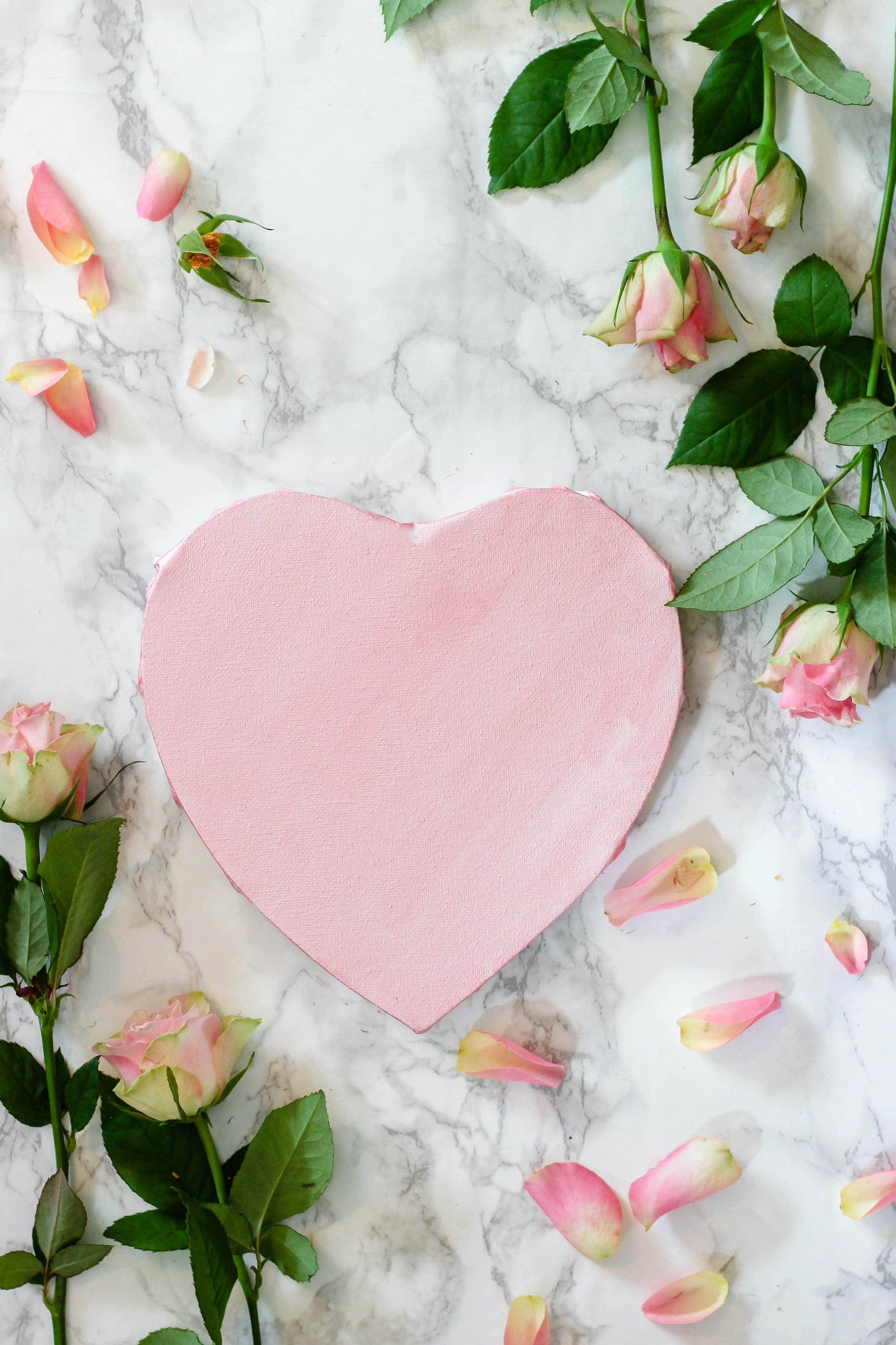 pink heart, white marble surface, pink roses, 4K Phone Wallpaper