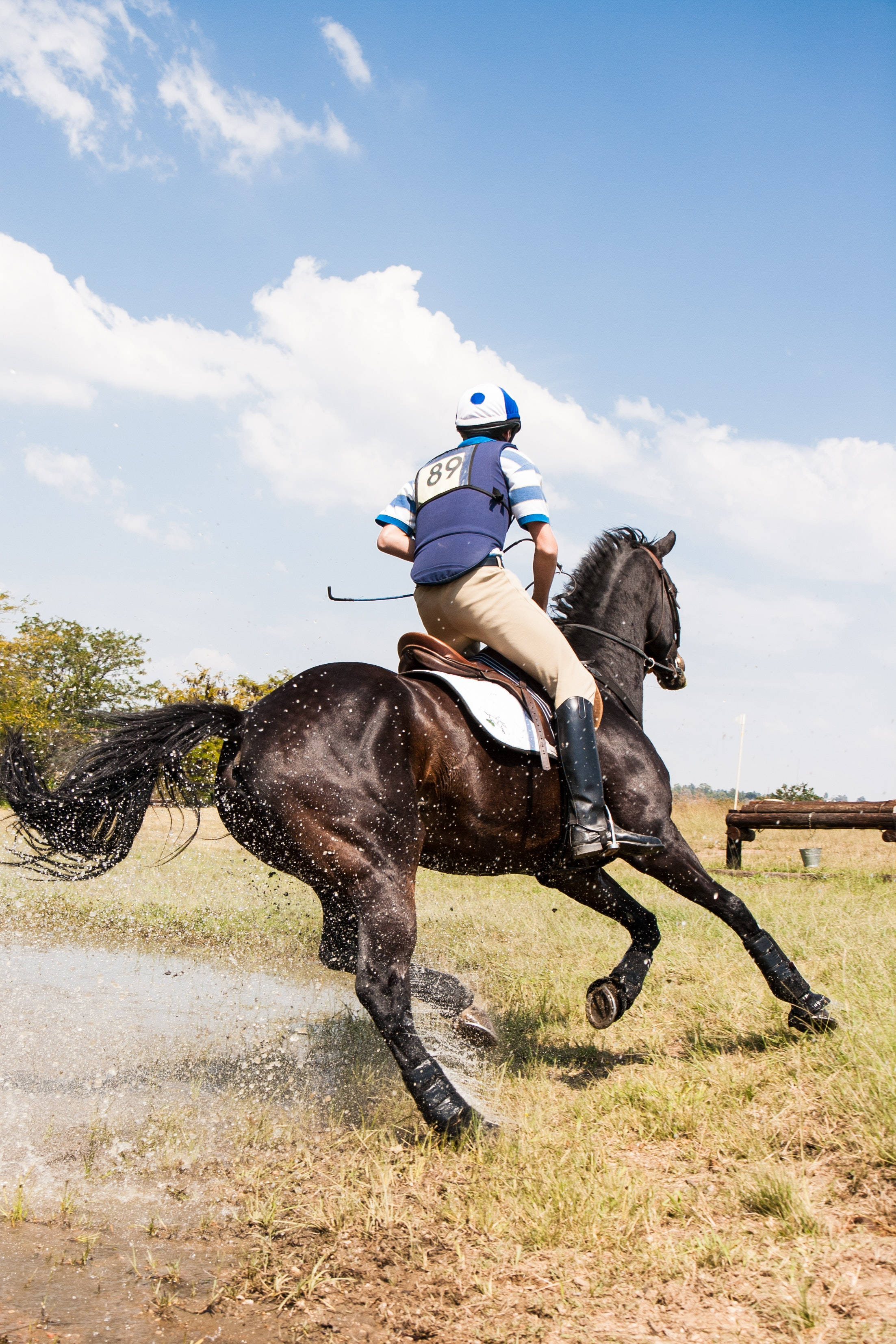 Galloping Horse, black horse, blue vest, 2K Phone Wallpaper