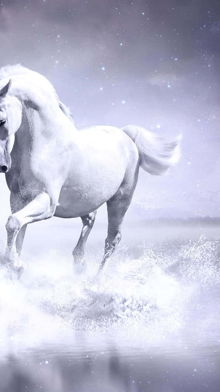 beautiful horse, white horse, wildflowers, HD Phone Wallpaper