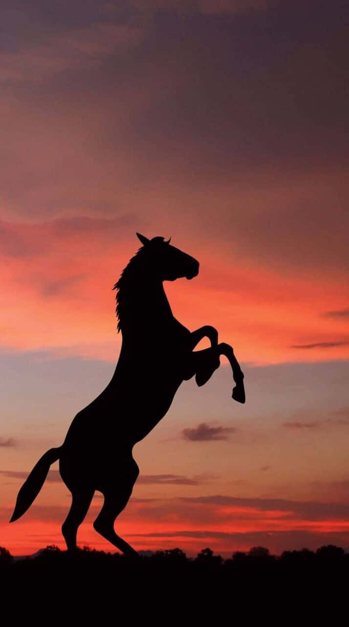 Beautiful Horse iPhone, fiery sunset sky, deep orange, HD Phone Wallpaper