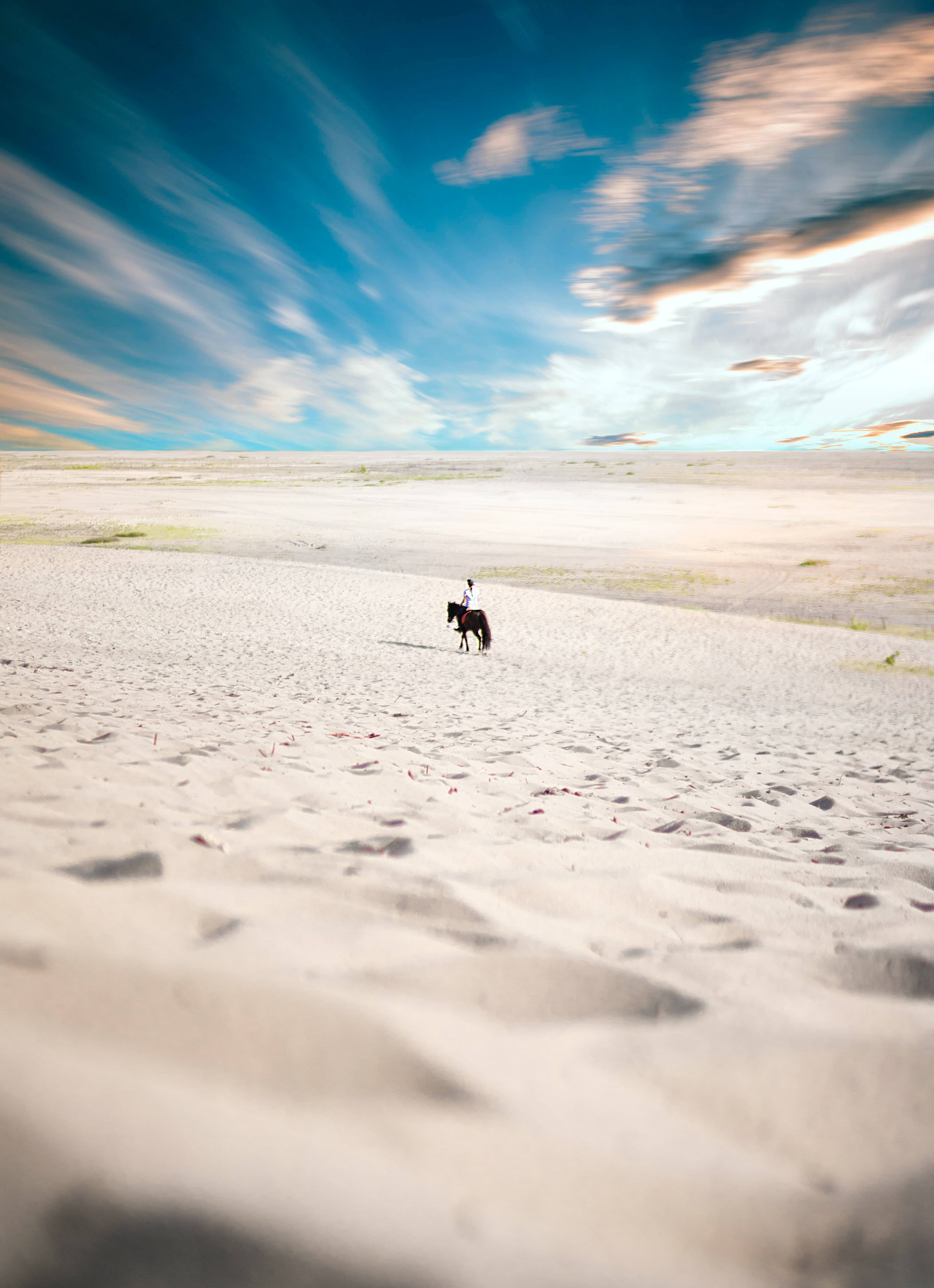 sandy horse, horse, sandy dune, 4K Phone Wallpaper