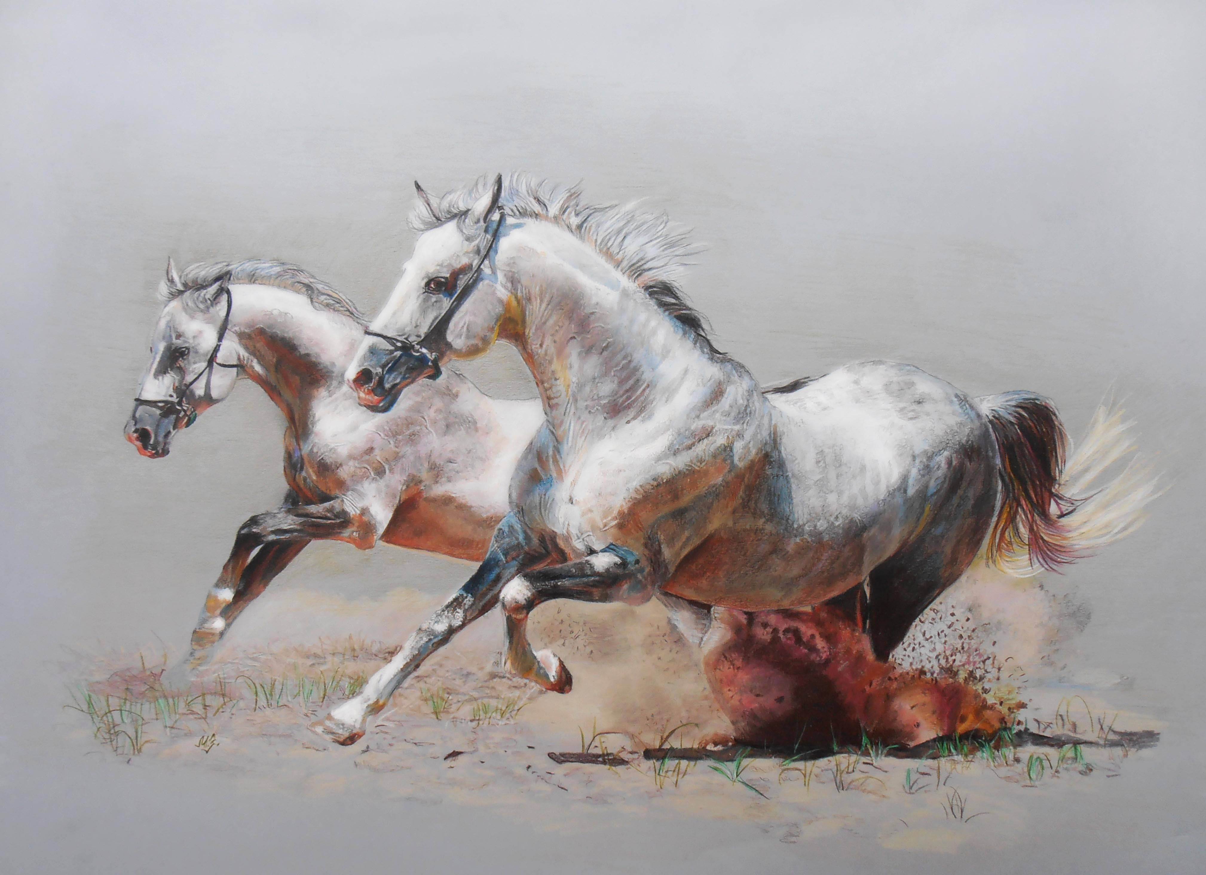 white horses, dark manes, dusty field, 4K Desktop Wallpaper