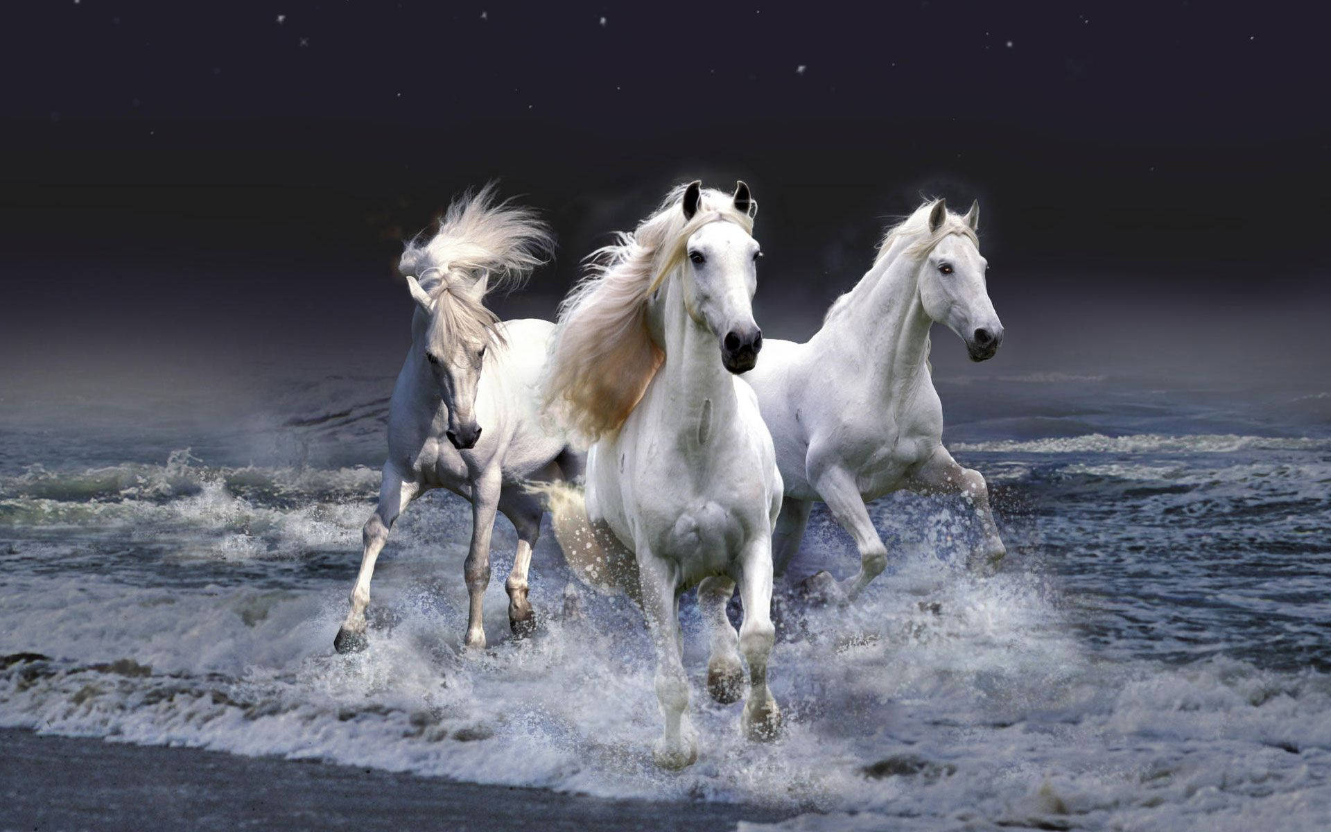 white horses, ocean waves, starry night sky, Full HD Desktop Wallpaper