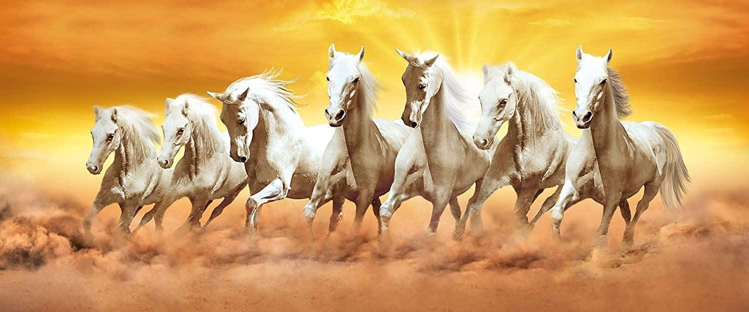 7 white horses, brown mist, golden clouds, HD Desktop Wallpaper