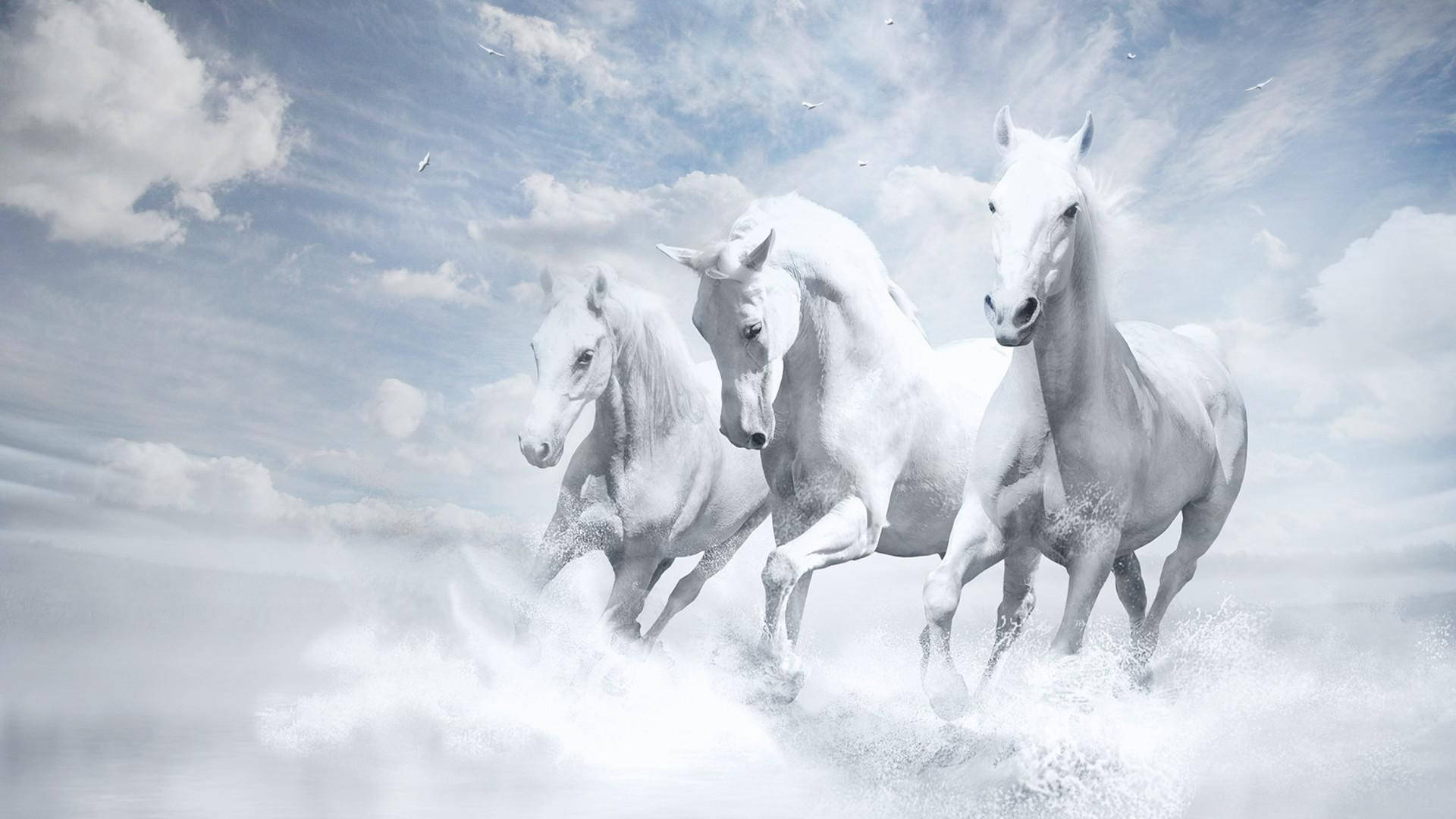 white horses, ocean waves, cloudy sky, Full HD Desktop Wallpaper