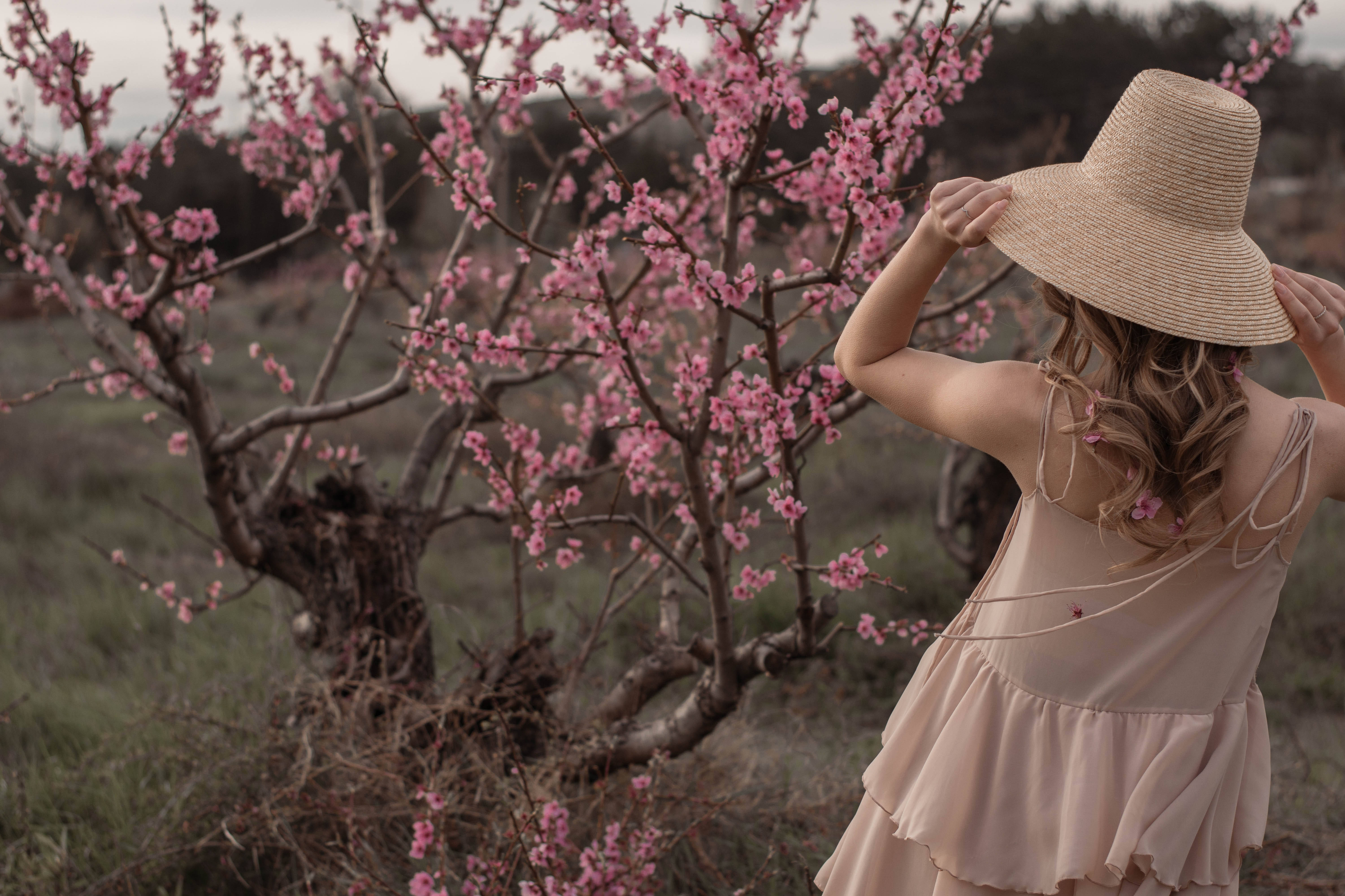 iPhone, pink cherry tree, straw hat, 5K Desktop Wallpaper