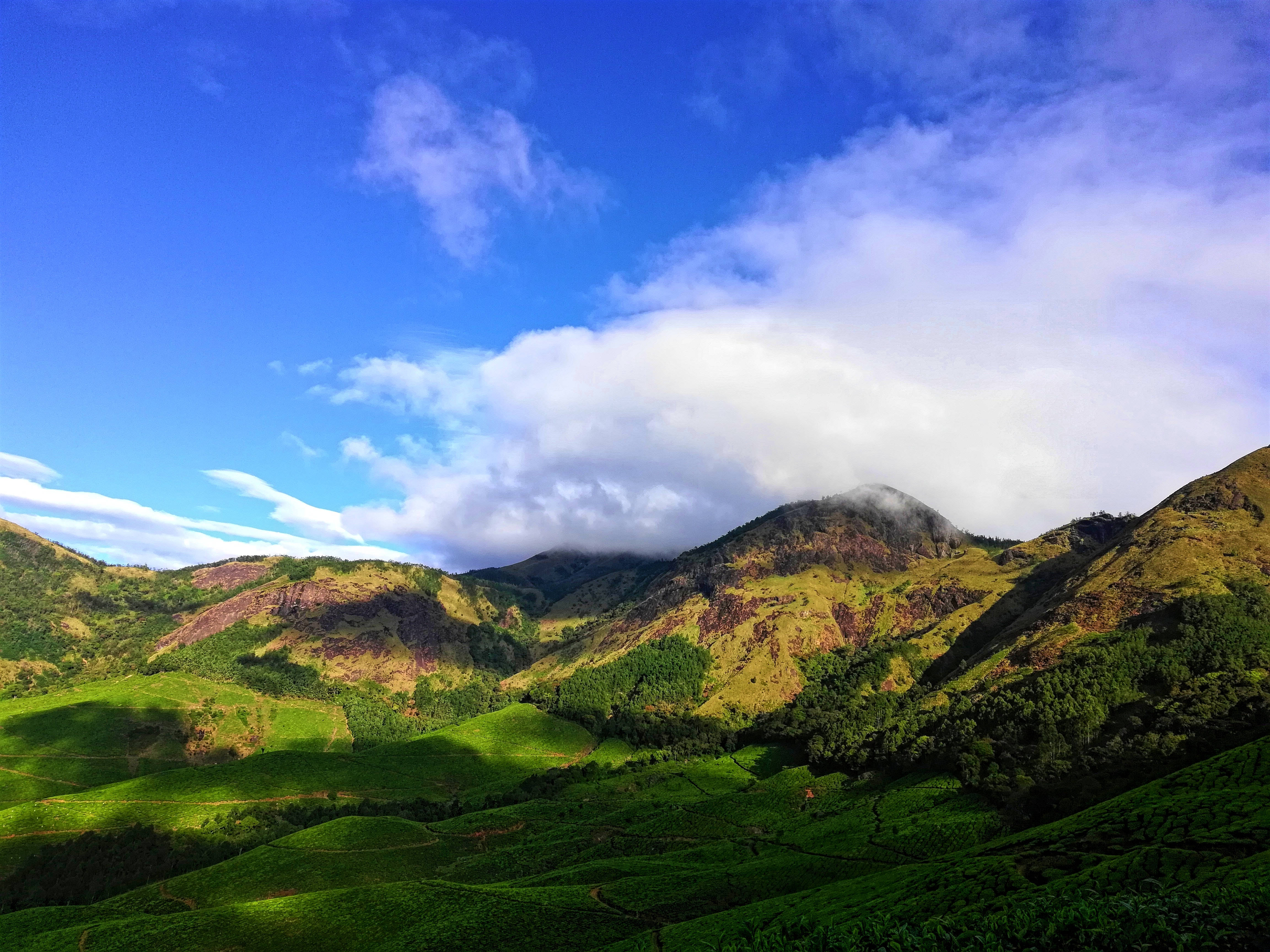 iPhone, green mountains, rolling green tea terraces, 4K Desktop Wallpaper
