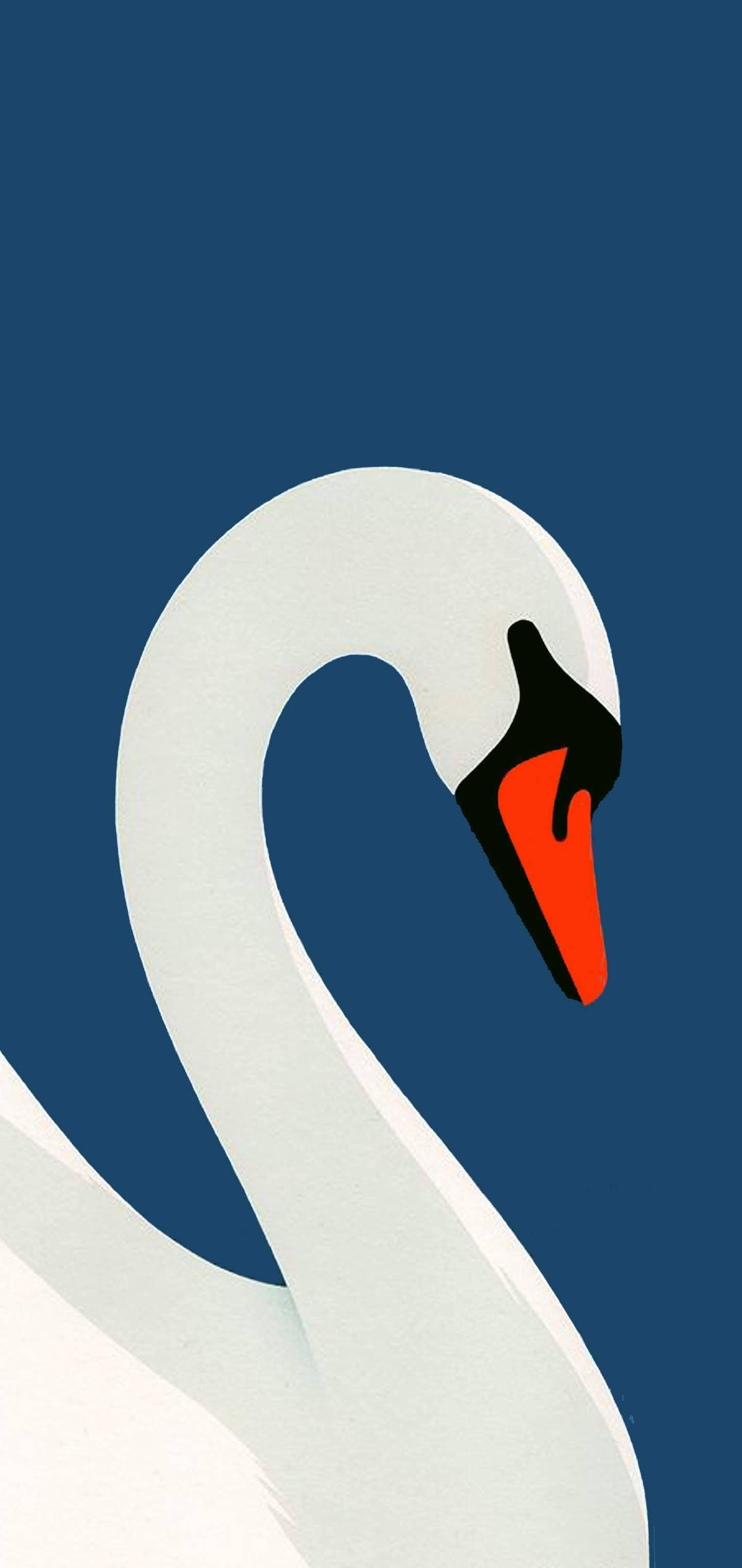 iPhone, swan, white, 2K Phone Wallpaper