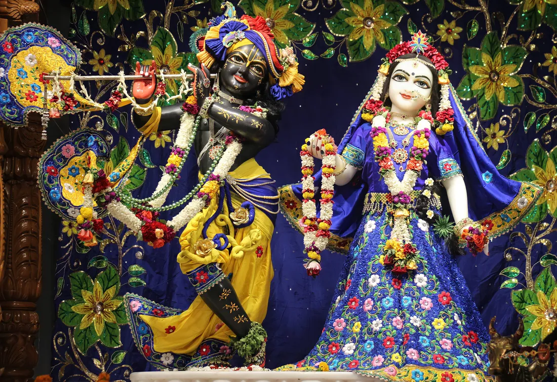 Beautiful Krishna