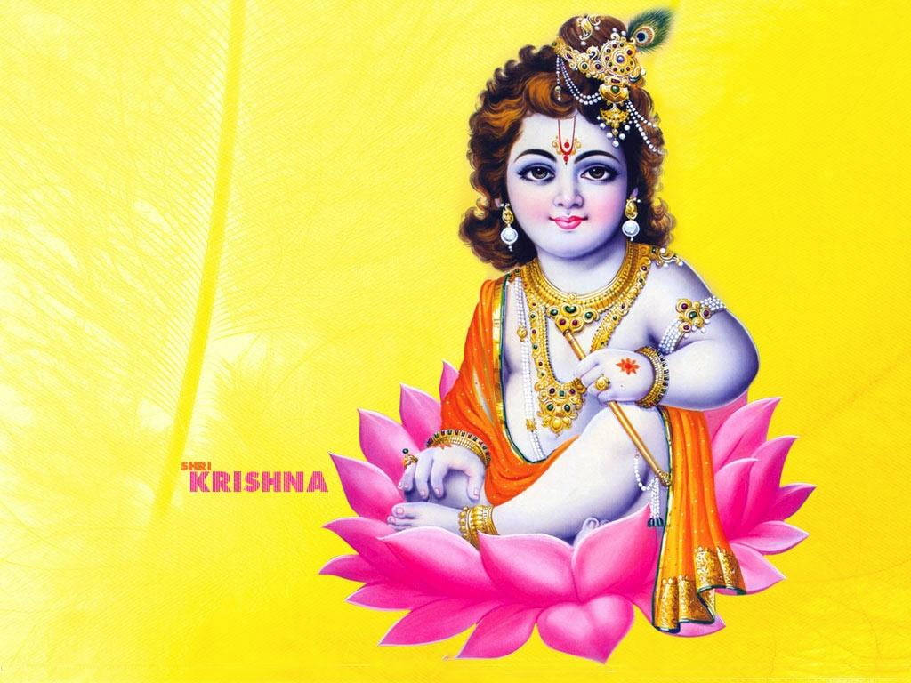 Krishna, lotus flower, gold jewelry, SD Desktop Wallpaper
