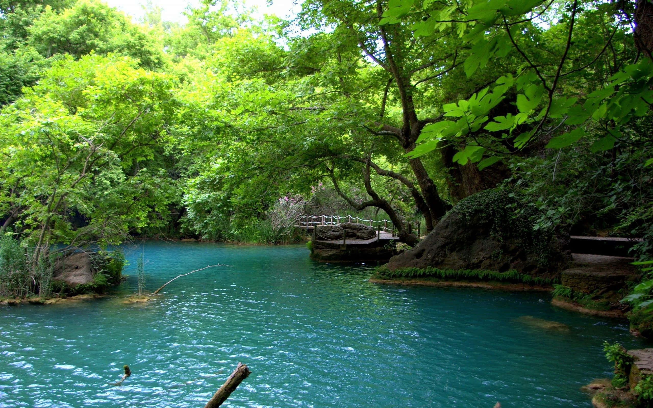 Beautiful Lake, turquoise river, lush green forest, 2K Desktop Wallpaper