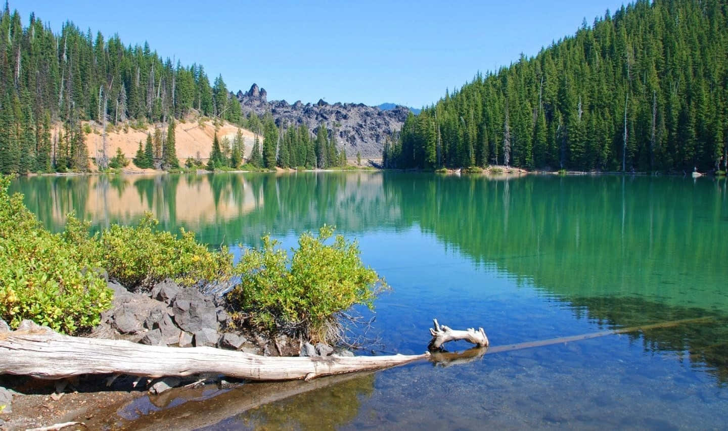 alpine lake, pine forests, rocky cliffs, HD Desktop Wallpaper