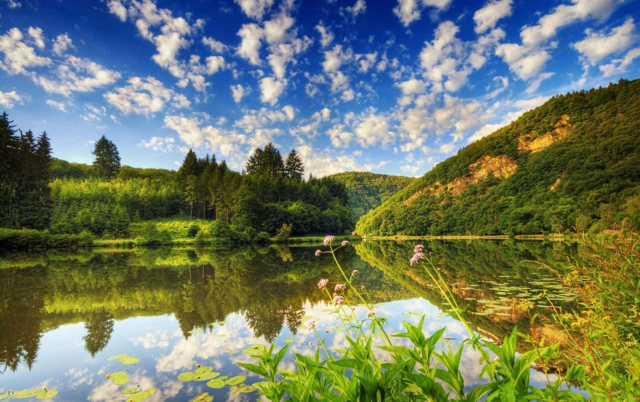 beautiful lake, vibrant blue sky, fluffy clouds, HD Desktop Wallpaper