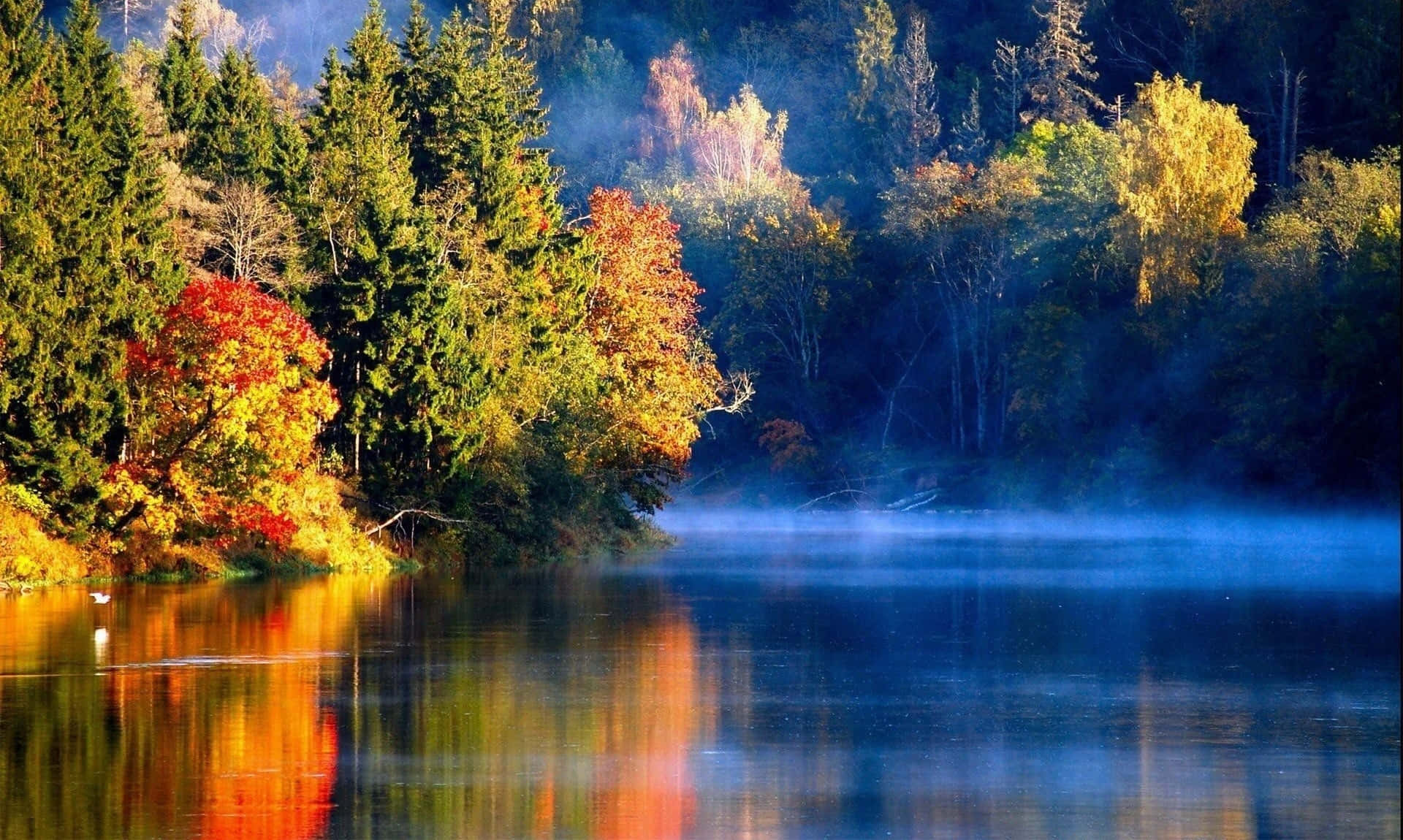 beautiful lake, misty autumn lake, fiery red and gold trees, Full HD Desktop Wallpaper