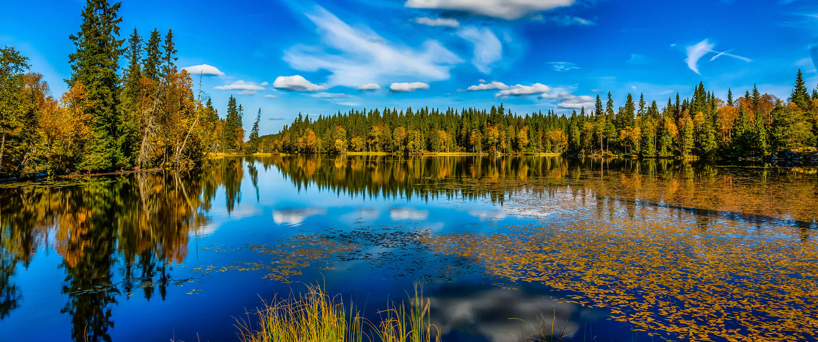 autumn lake, vibrant blue sky, colorful forest, 2K Desktop Wallpaper