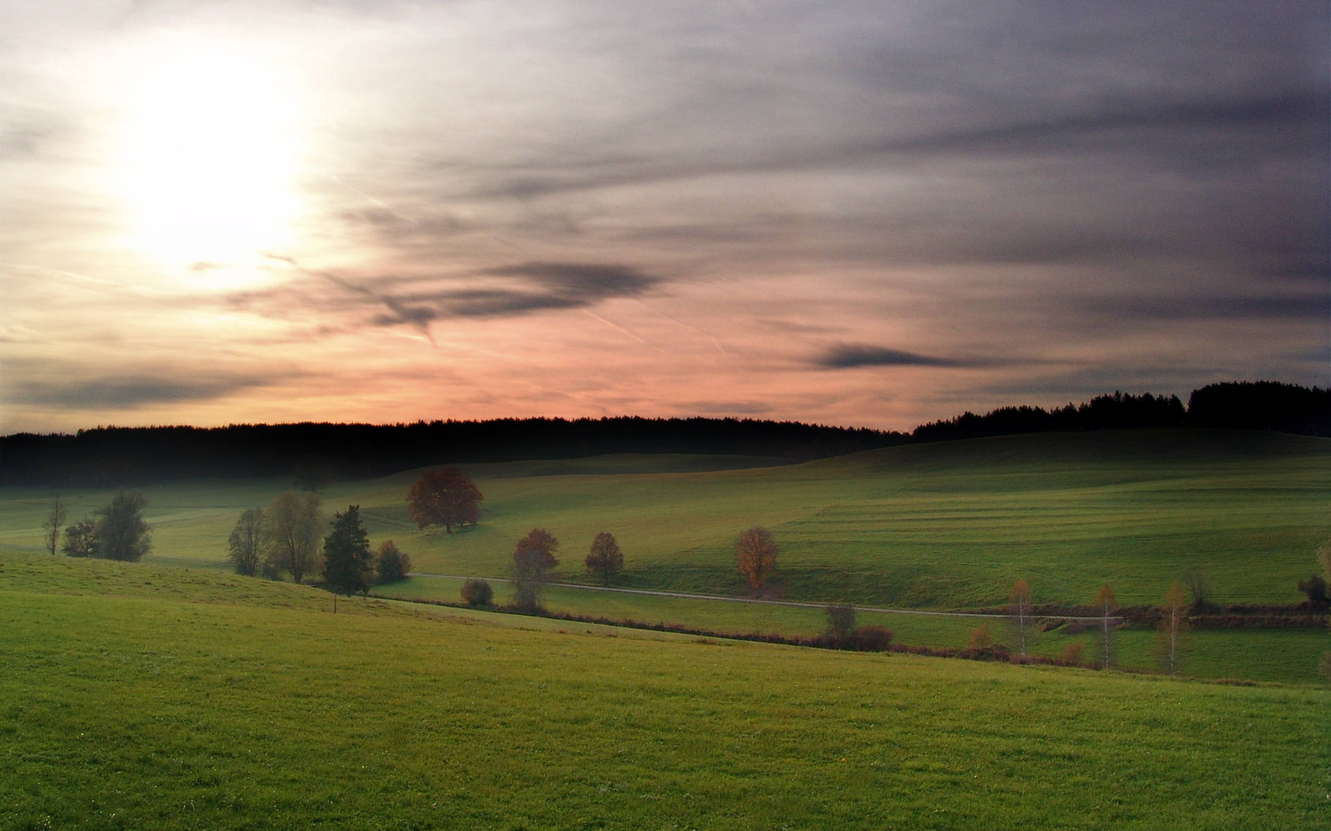 Sunset, rolling green hills, scattered trees, Full HD Desktop Wallpaper