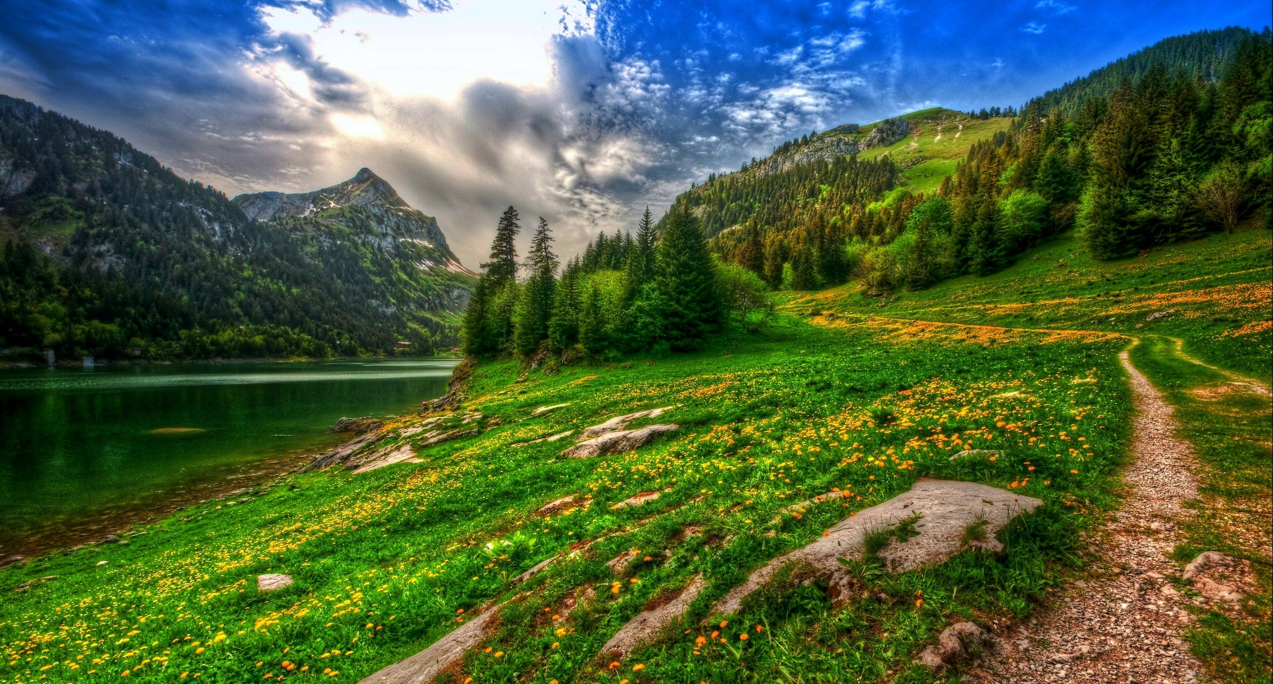 lakeside greenfield, winding dirt path, vibrant green meadows, Full HD Desktop Wallpaper