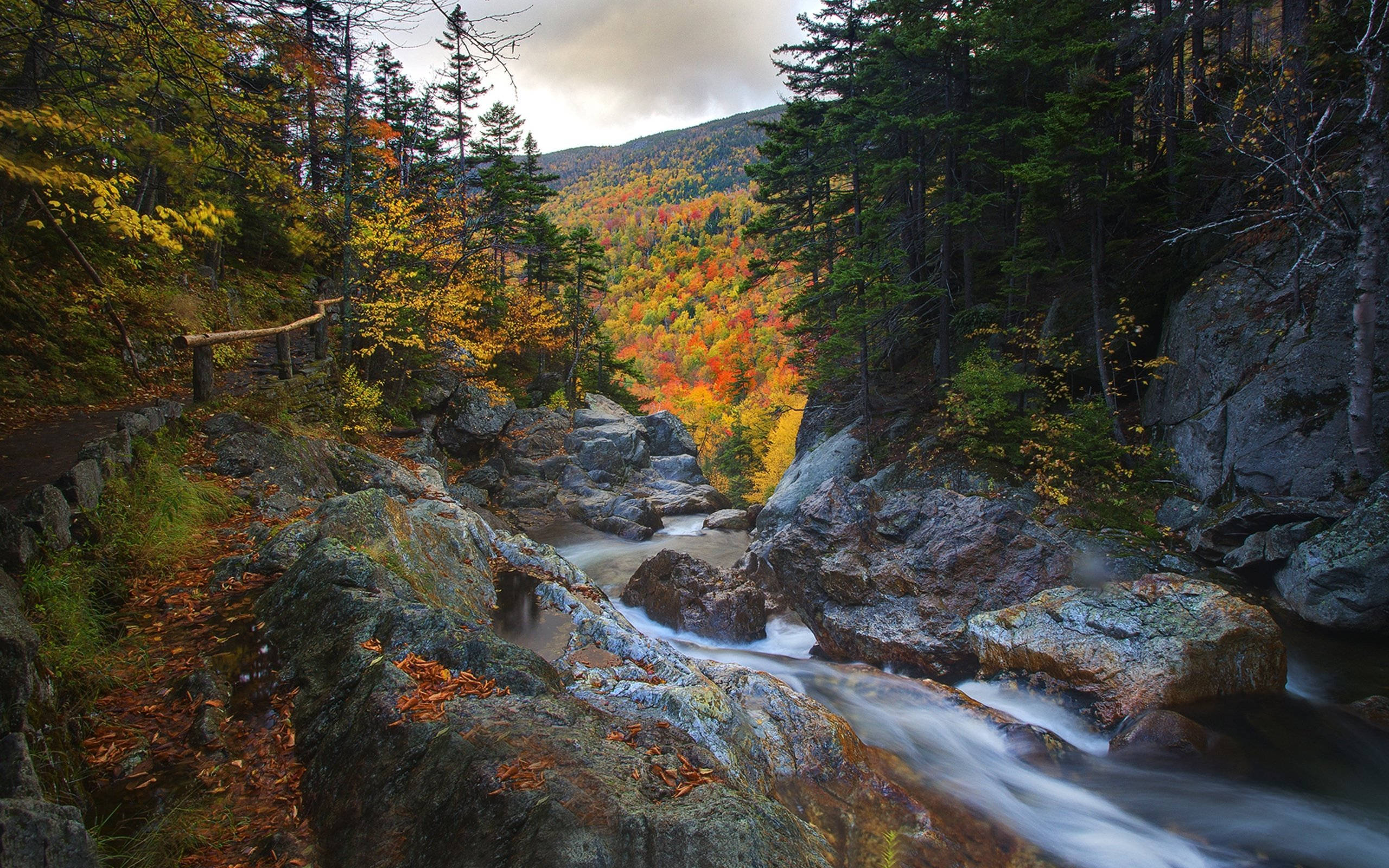 autumn stream, rocky terrain, fiery orange yellow and red foliage, 2K Desktop Wallpaper