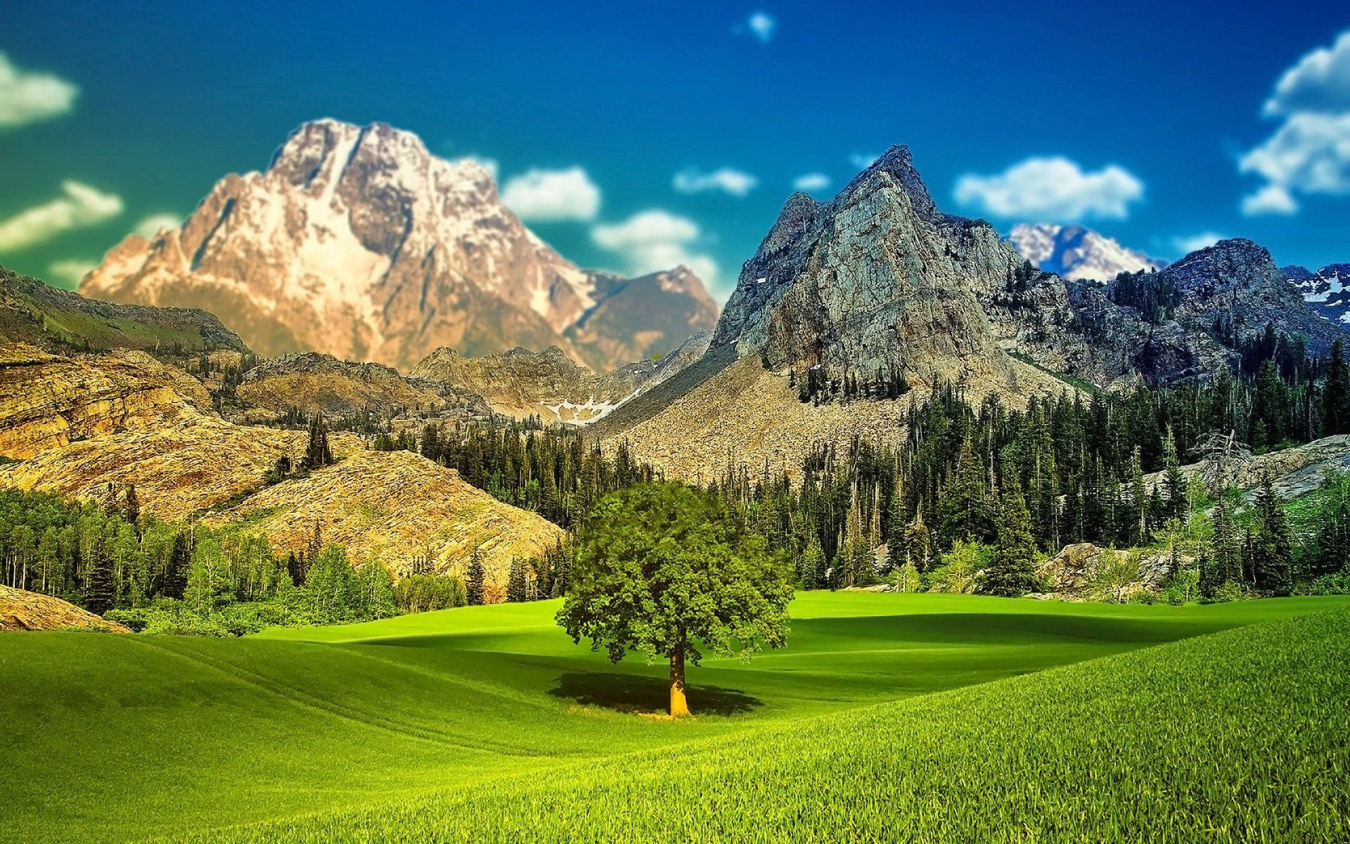 lone tree, vibrant green meadow, snow-capped mountains, Full HD Desktop Wallpaper