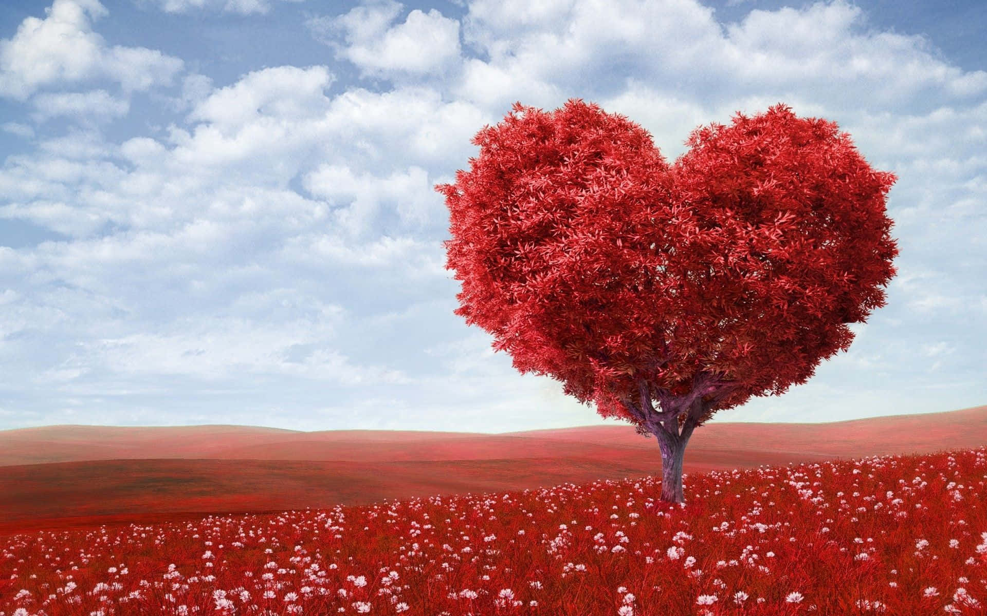 beautiful love, heart-shaped red tree, red grass, Full HD Desktop Wallpaper