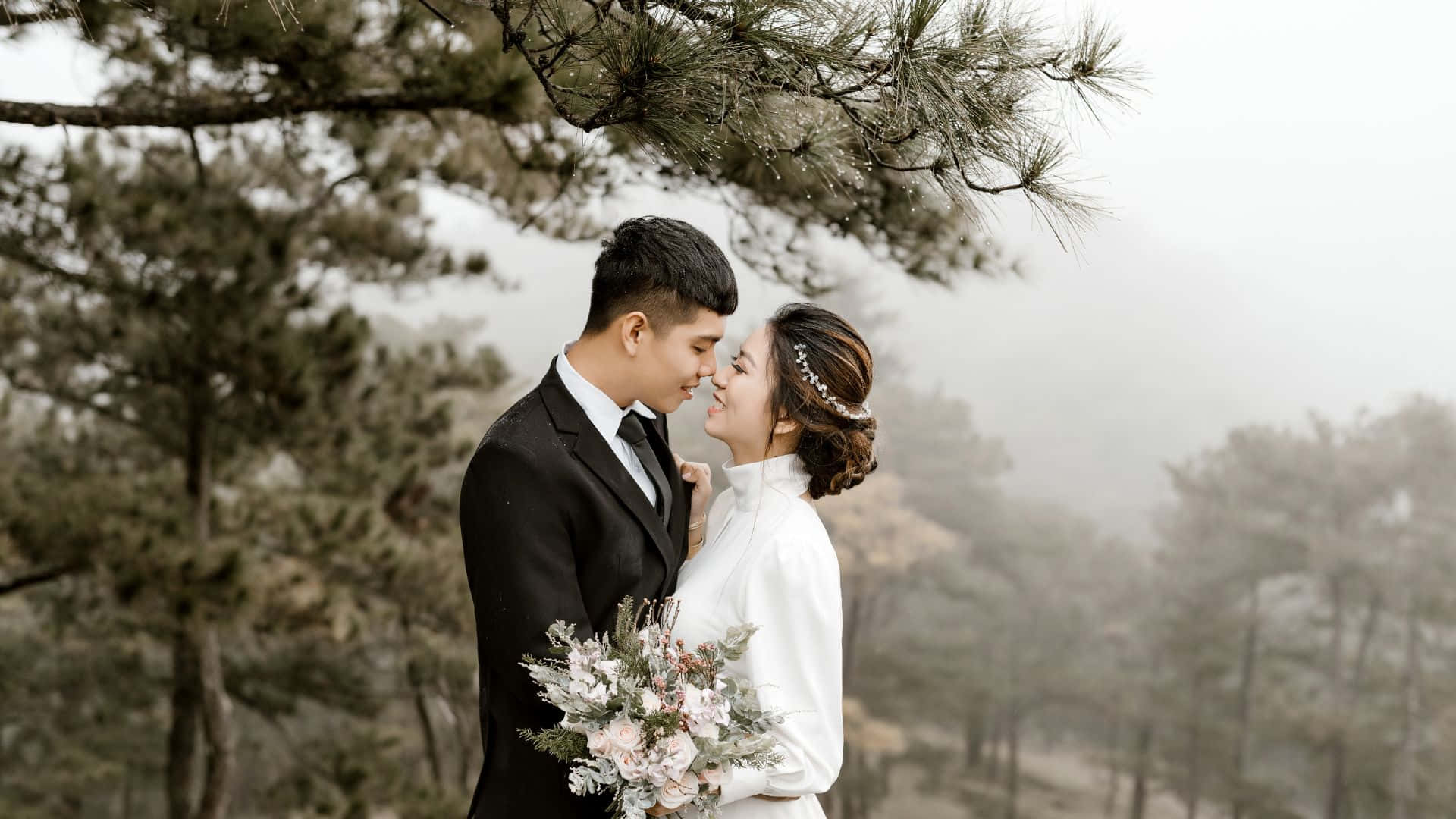 bride and groom, wedding attire, pine tree, Full HD Desktop Wallpaper