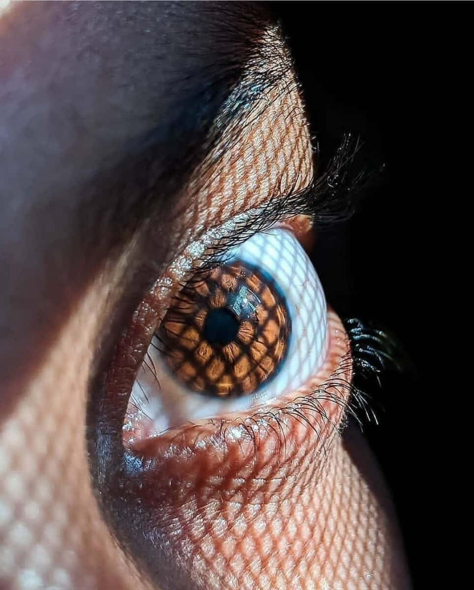 human eye, brown iris pattern, textured skin, SD Phone Wallpaper