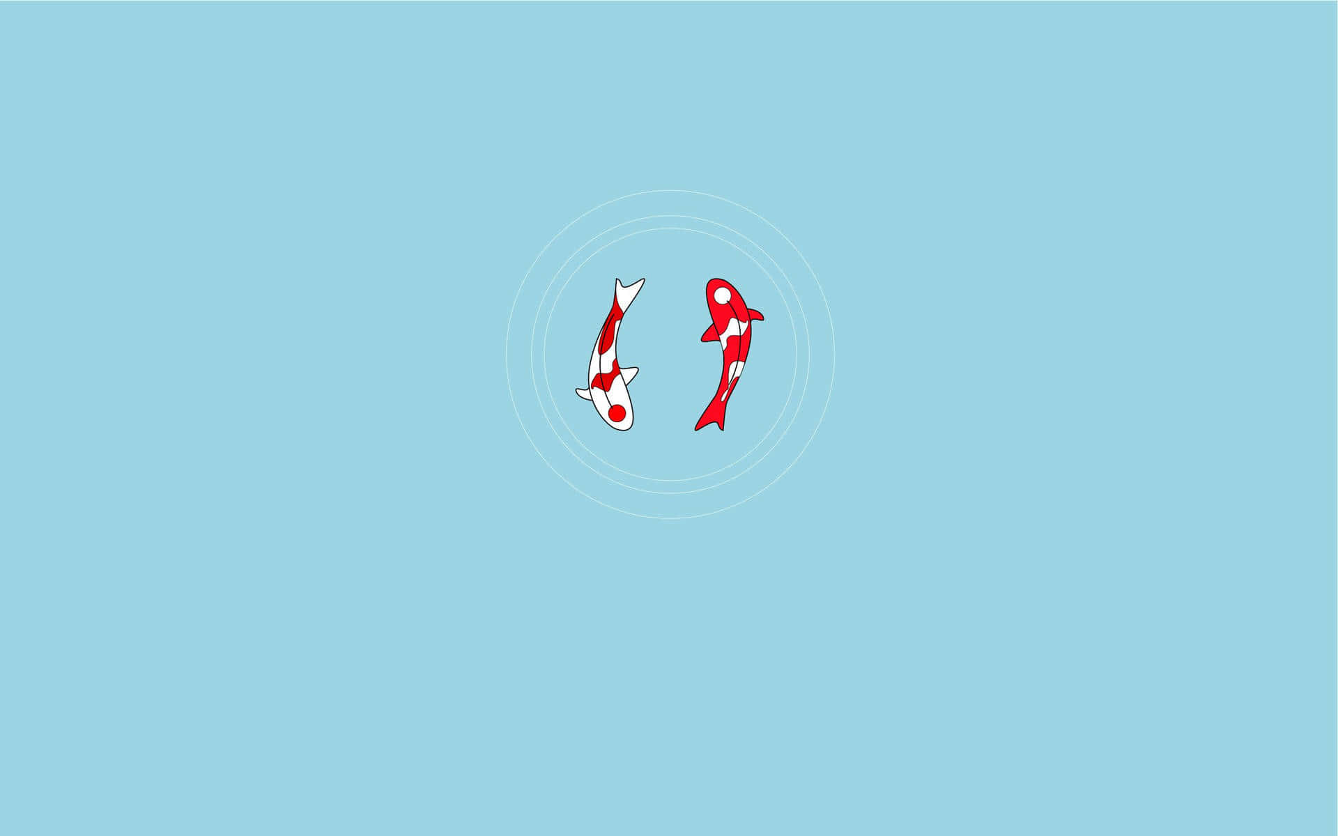 red and white koi fish, concentric circles, soft blue background, Full HD Desktop Wallpaper