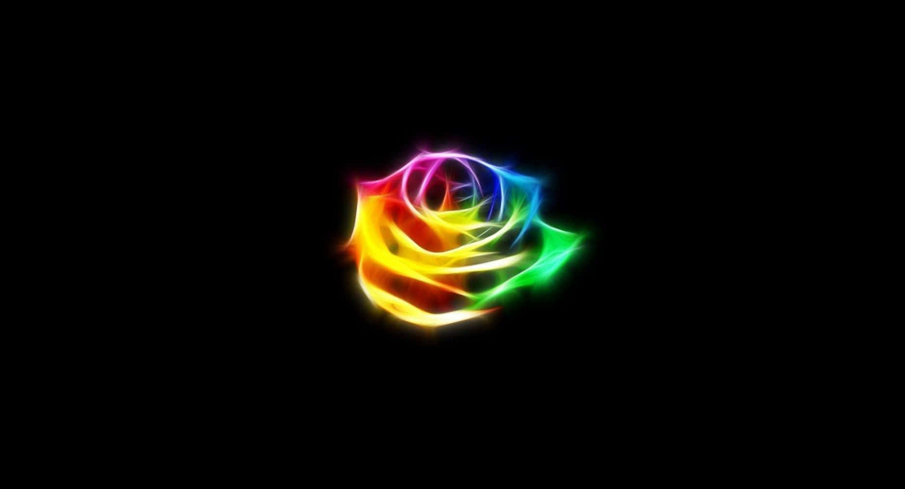 Vibrant Neon Lights, Wet Pavement, Glowing Rainbow Rose, HD Desktop Wallpaper