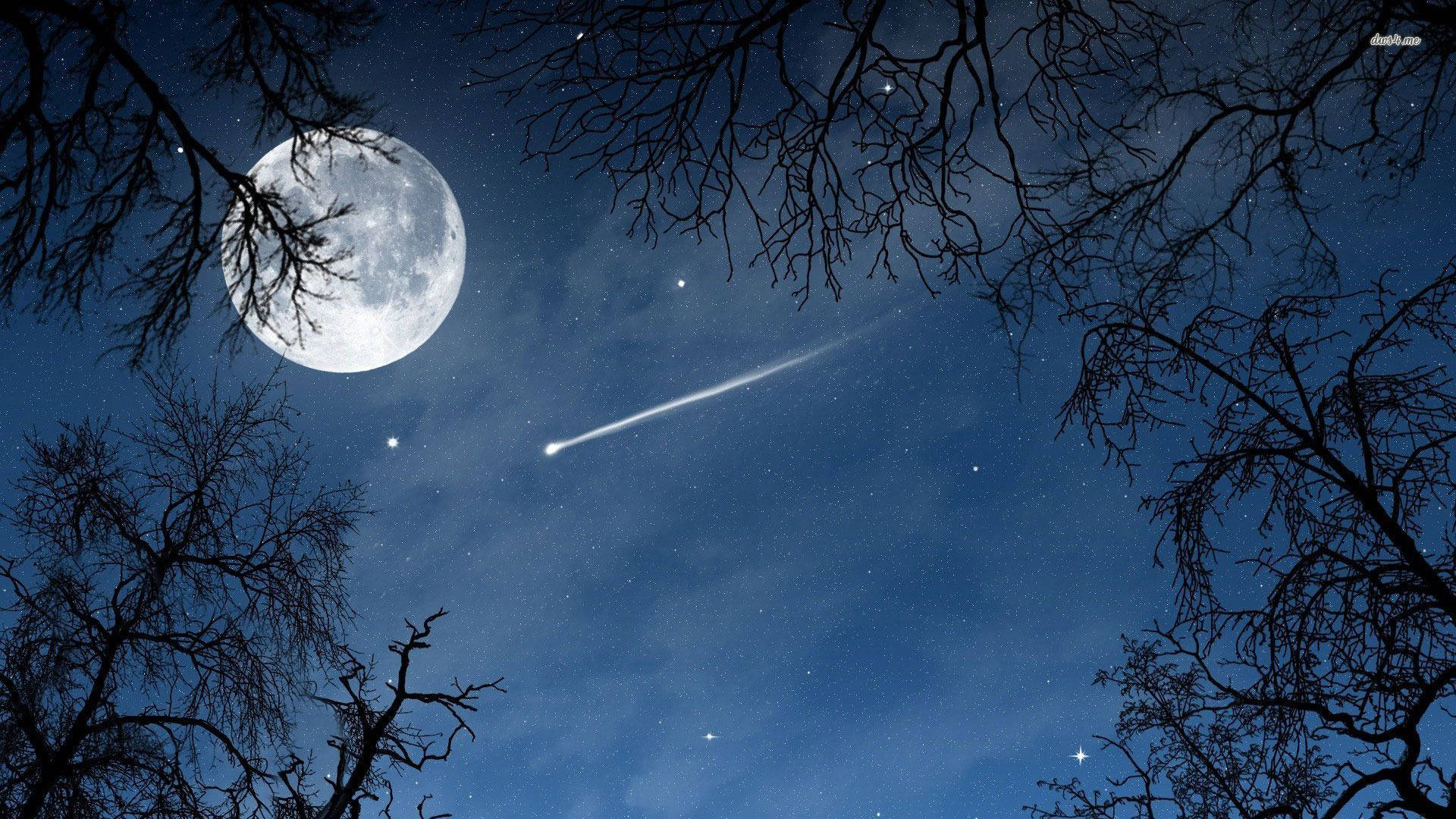 night sky, full moon, starry night sky, Full HD Desktop Wallpaper