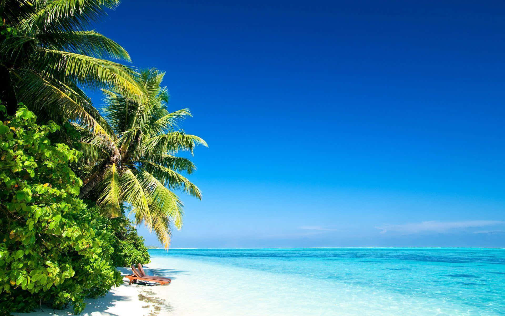 beautiful ocean, tropical beach, white sand, Full HD Desktop Wallpaper