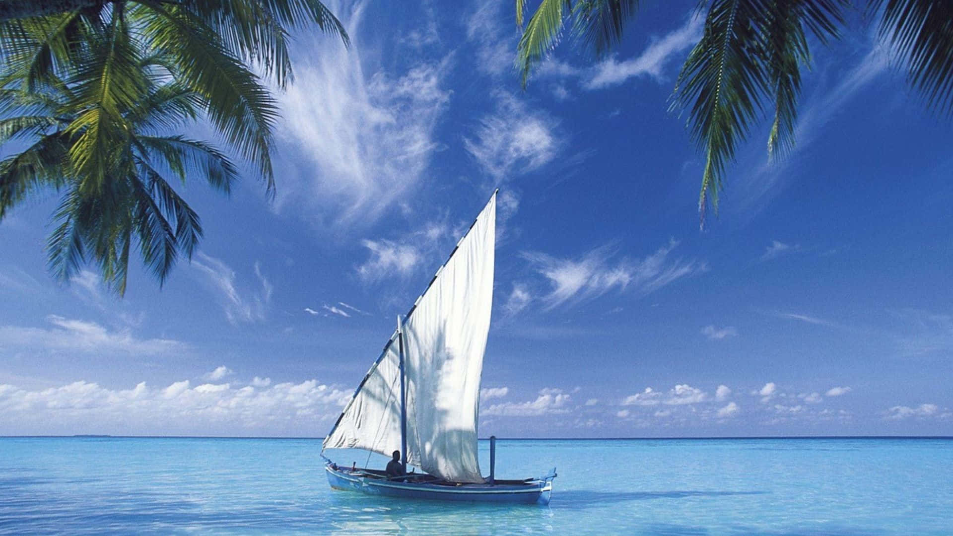 beautiful ocean, sailboat, turquoise waters, Full HD Desktop Wallpaper