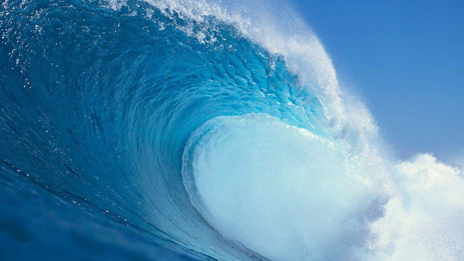 deep blue ocean, turquoise ocean wave, perfect barrel, HD Desktop Wallpaper