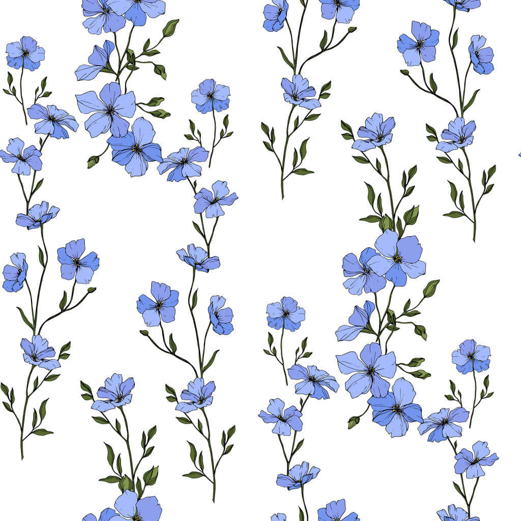 blue flax flowers, green stems and leaves, clean white background, SD Desktop Wallpaper