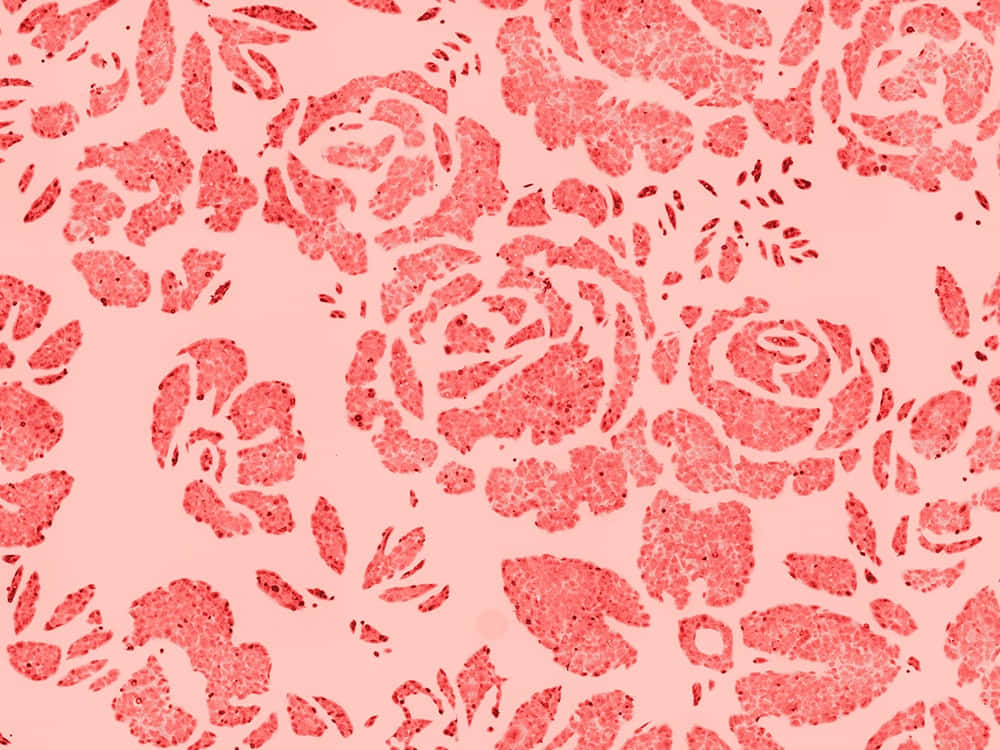 soft pink, textured red rose patterns, repeating floral design, SD Desktop Wallpaper