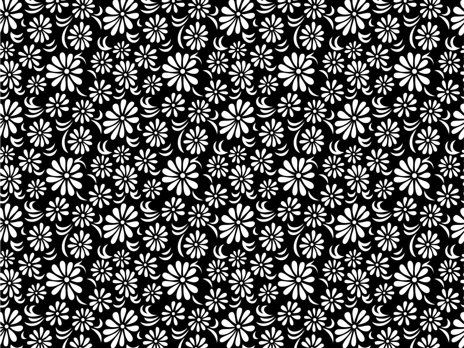 black and white pattern, repeating pattern, stylized daisies, HD Desktop Wallpaper
