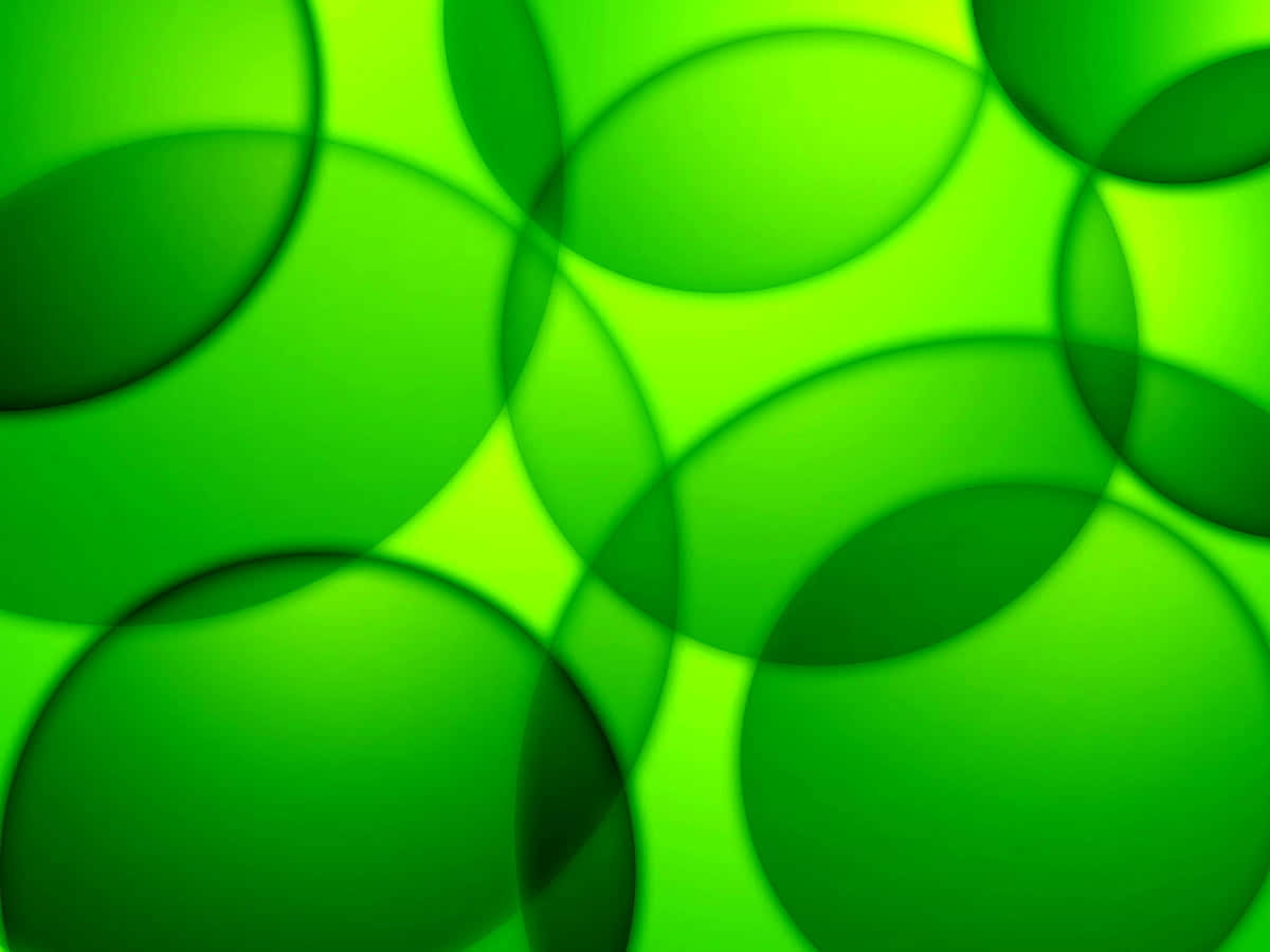 Beautiful Pattern, vibrant green, translucent circles, SD Desktop Wallpaper
