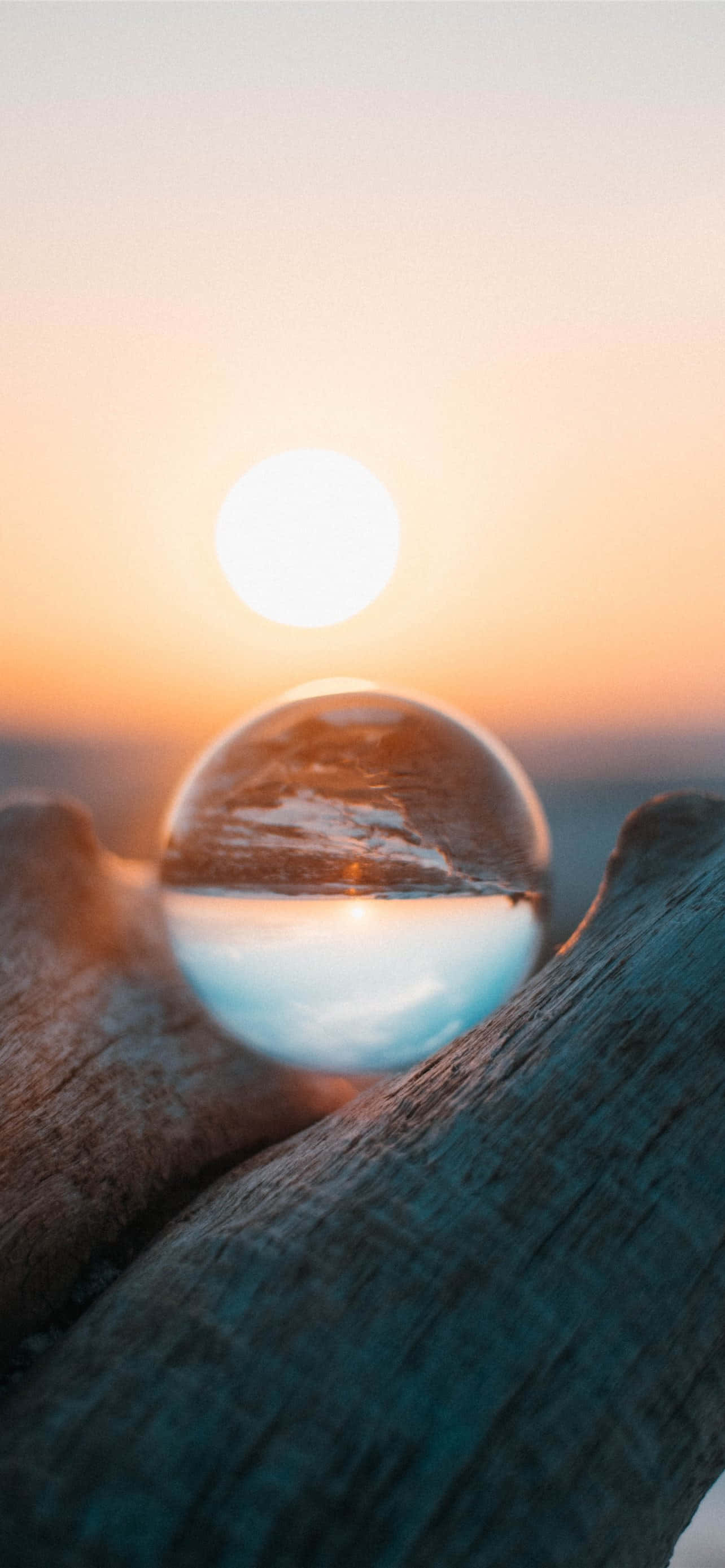 glass sphere, weathered driftwood, glowing sunset, 2K Phone Wallpaper
