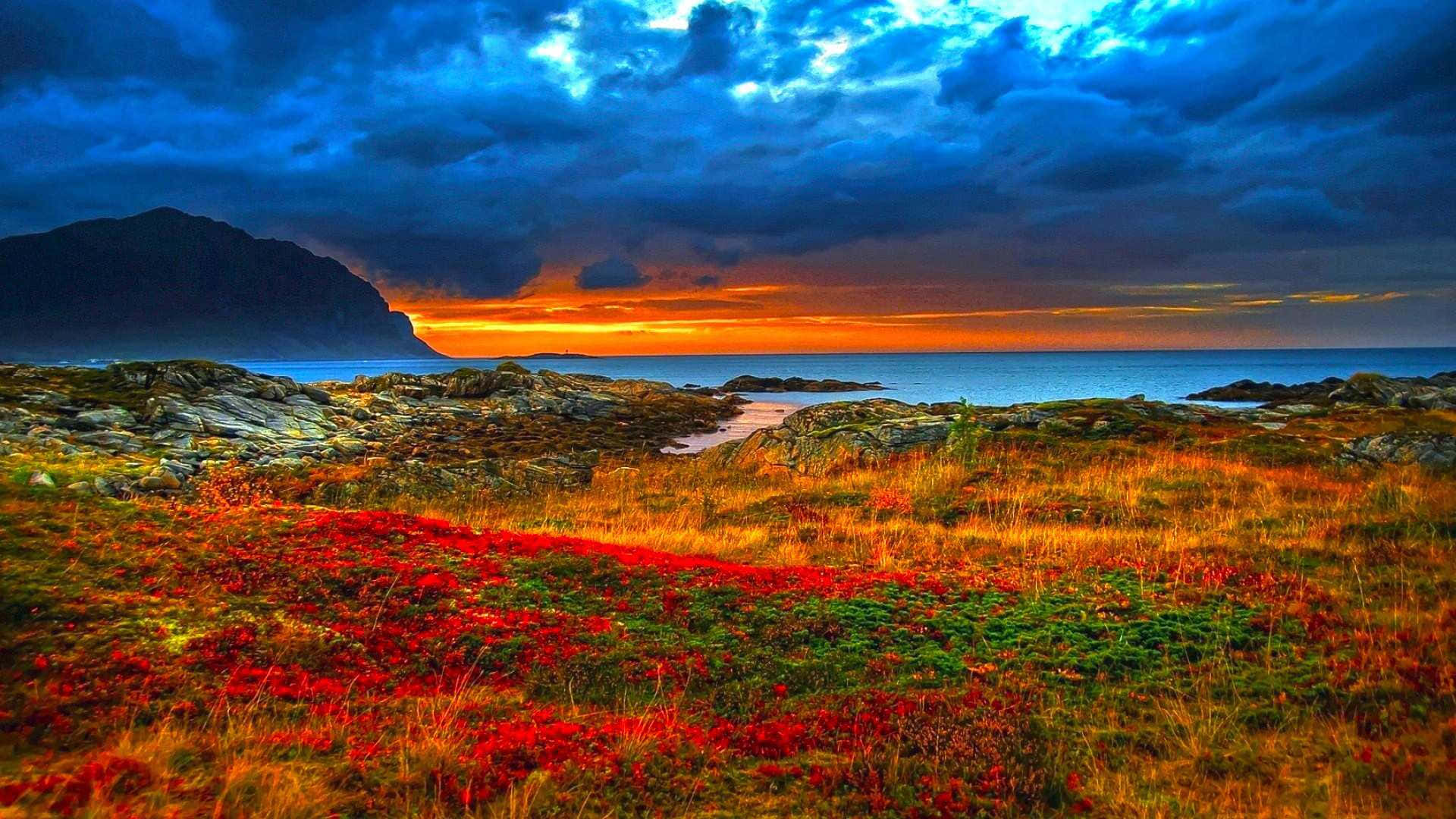 Serene Lakeside Sunset, fiery sunset, orange and blue, Full HD Desktop Wallpaper