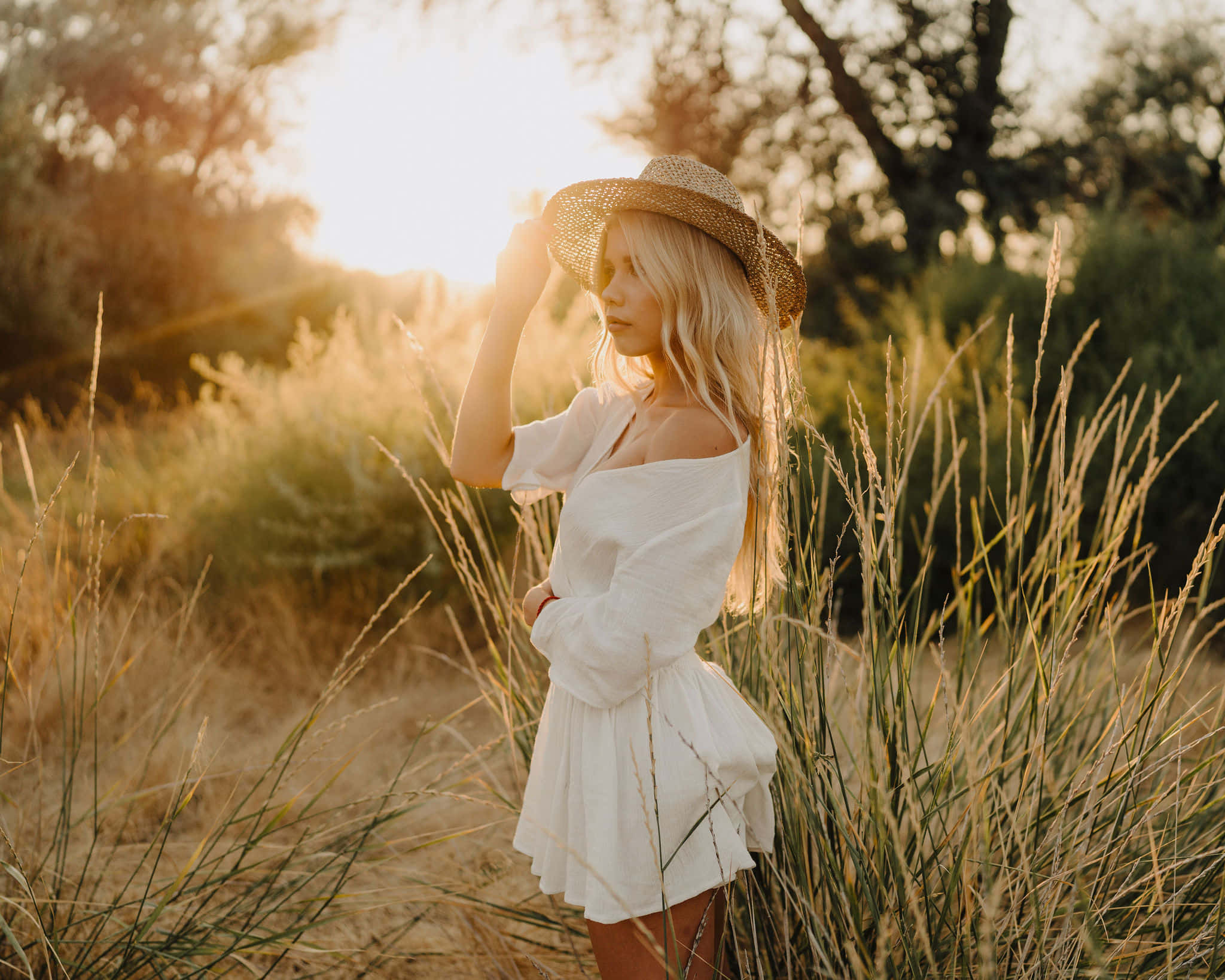 sunlight, golden grasses, white dress, Full HD Desktop Wallpaper