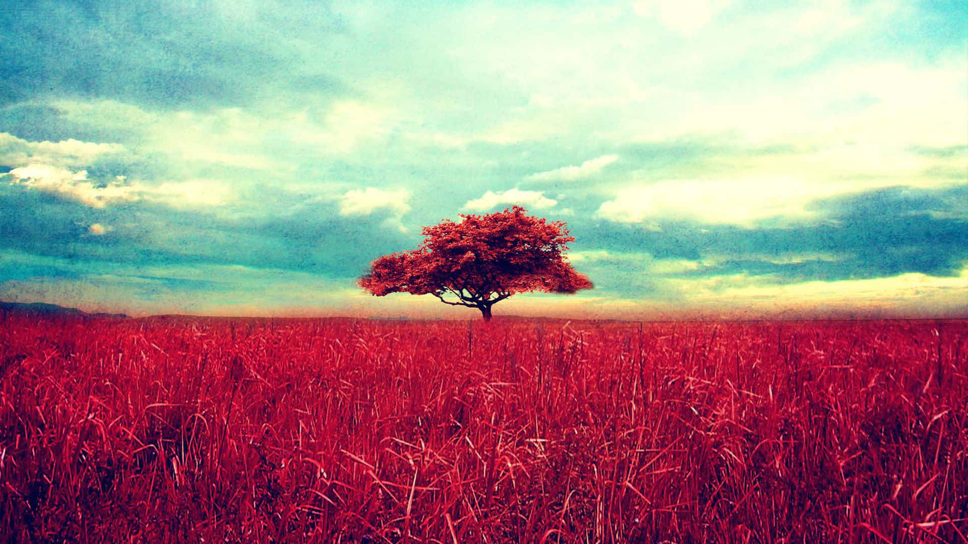 red leaves, crimson grass, teal and yellow sky, Full HD Desktop Wallpaper