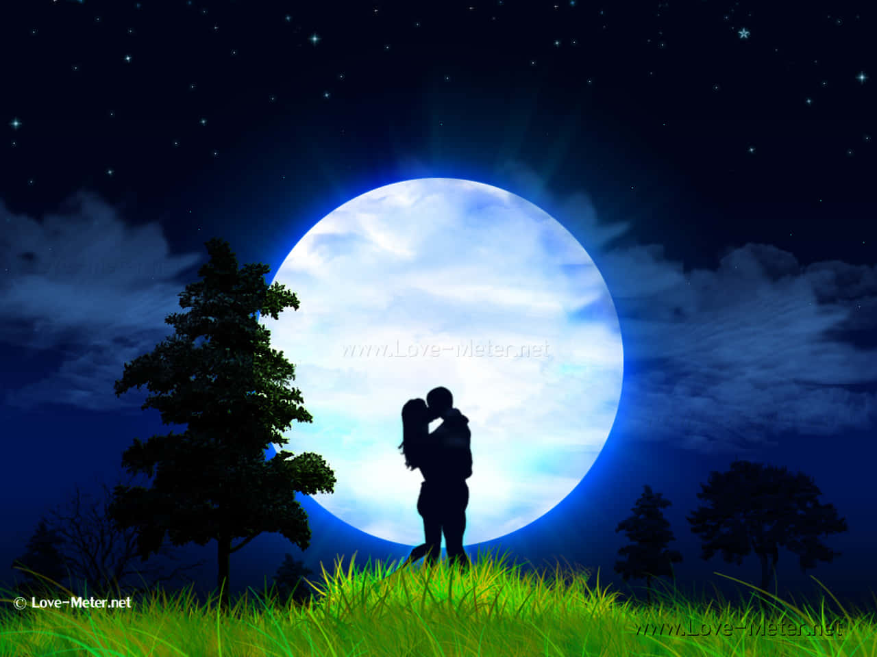 full moon, stars, trees, HD Desktop Wallpaper