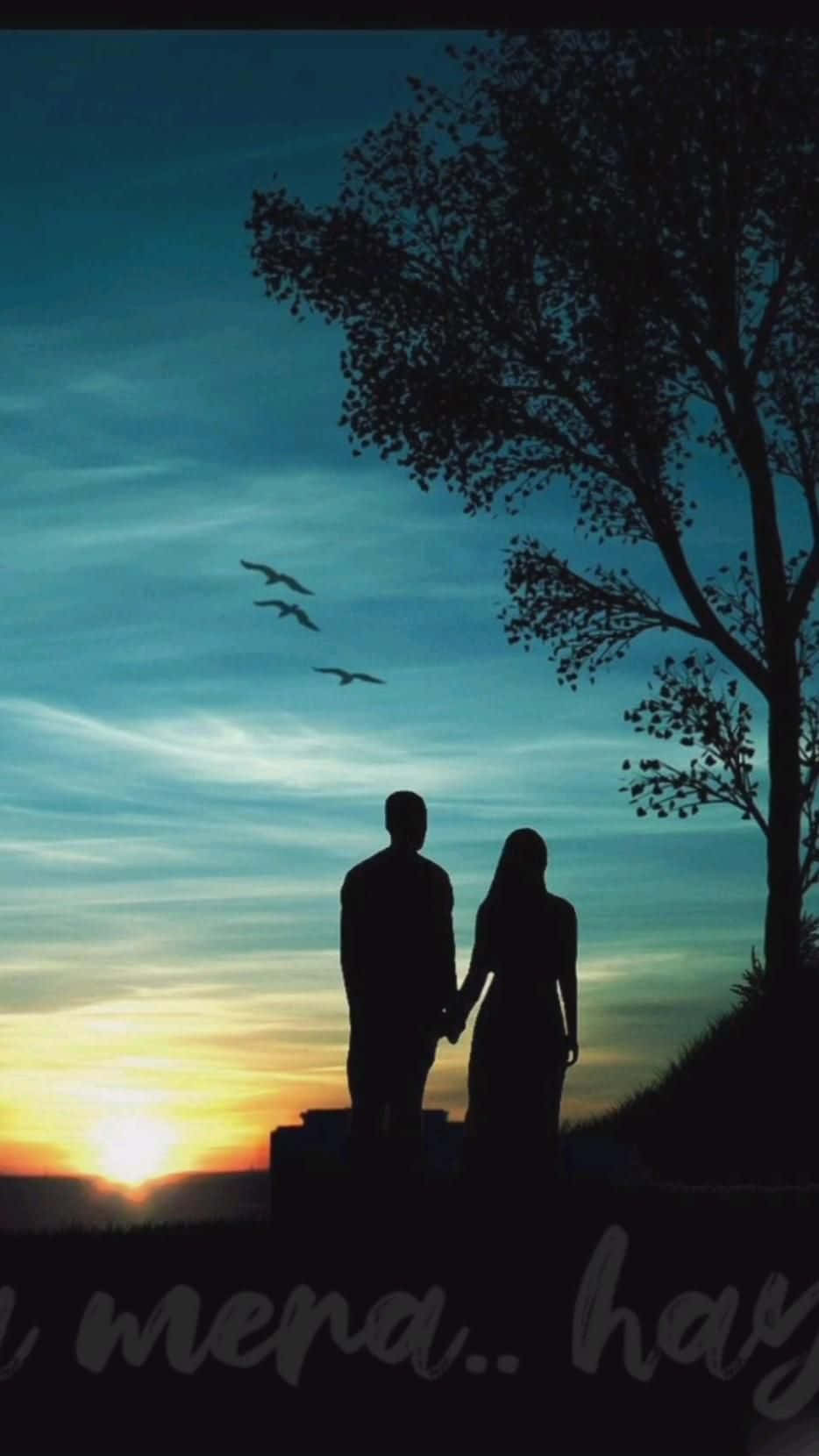 Silhouetted couple, hill, sunset, HD Phone Wallpaper